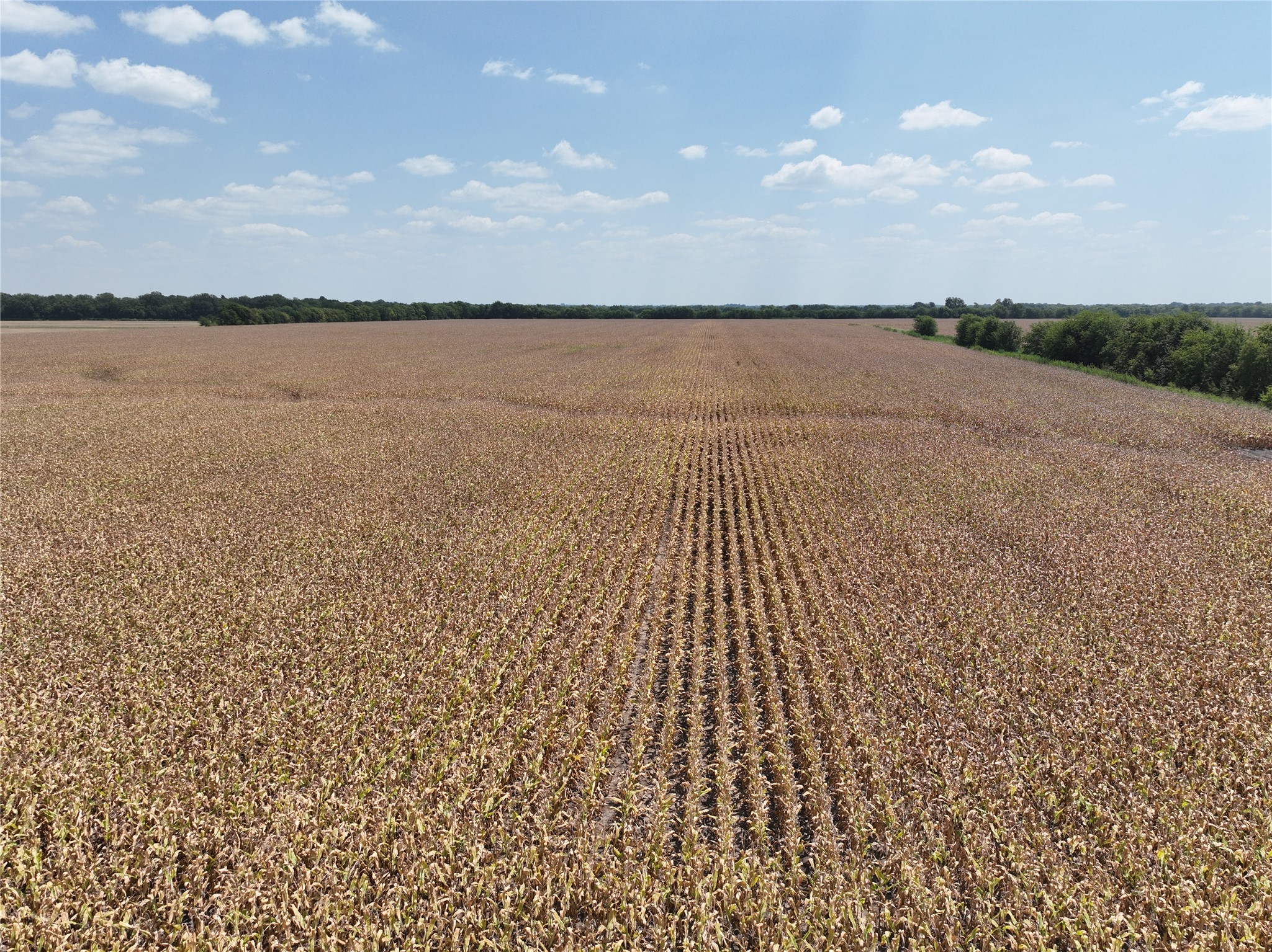 TBD County Road 26850