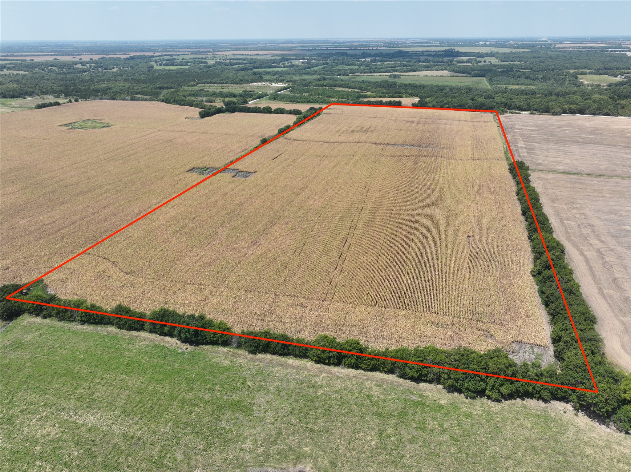 370 Acres FM 137