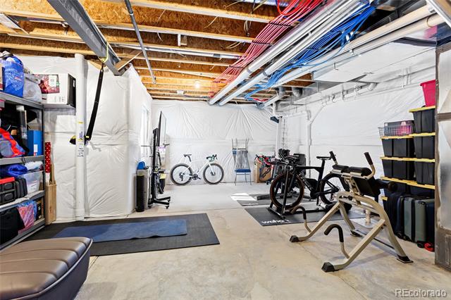 1444 Sidewinder Circle
