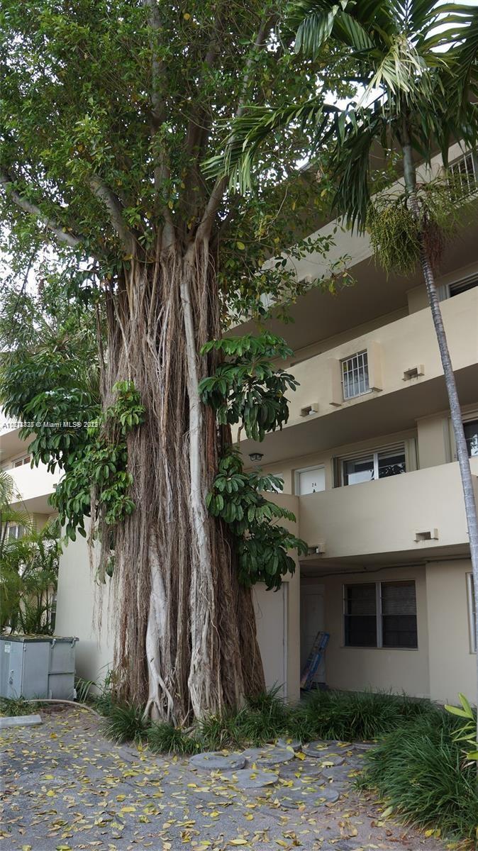 4011 N Meridian Ave Unit: 17