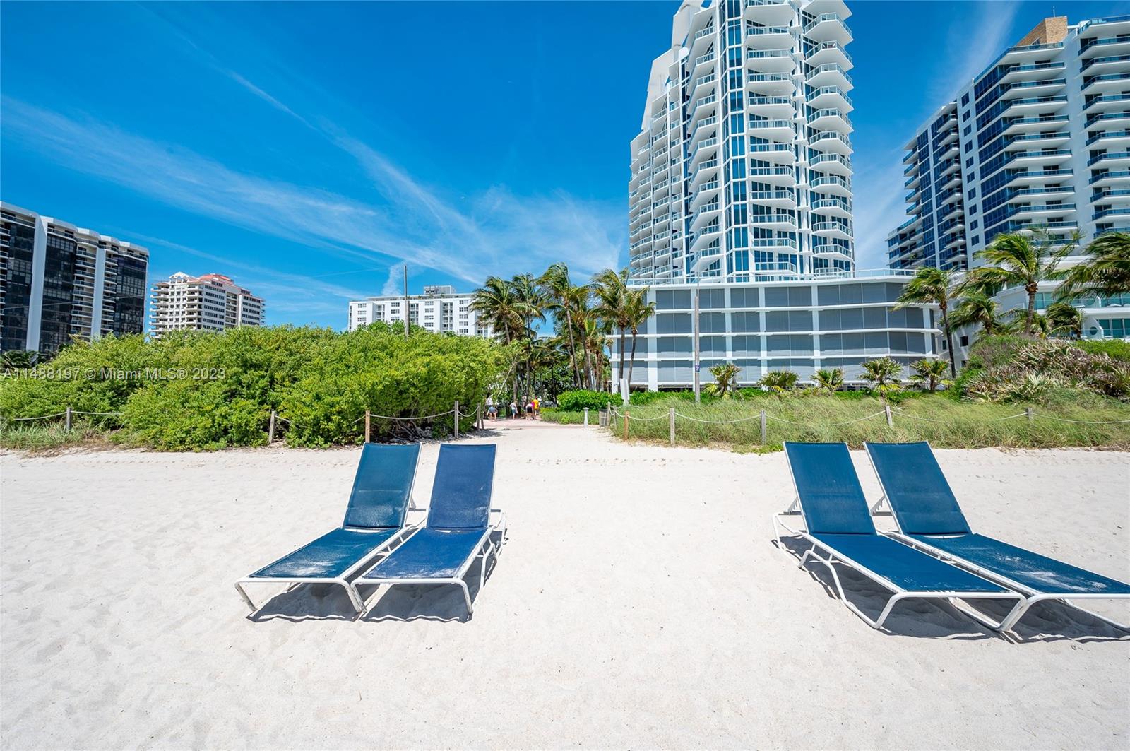 6515 Collins Ave Unit: 1402