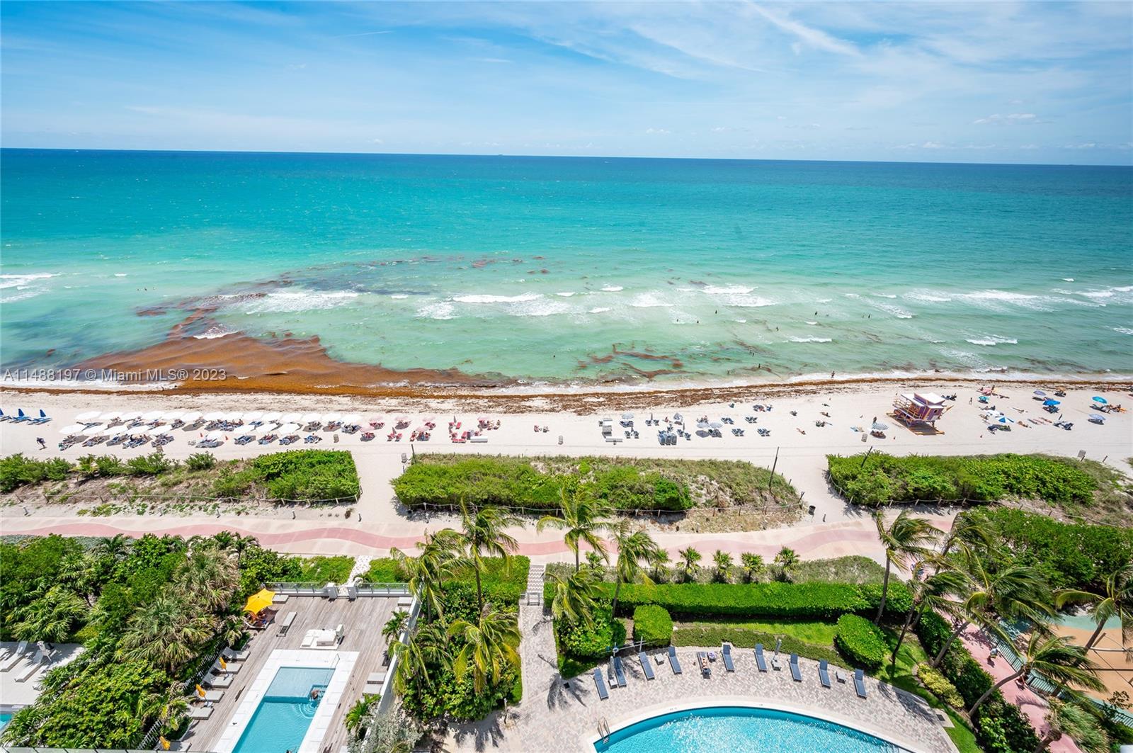 6515 Collins Ave Unit: 1402