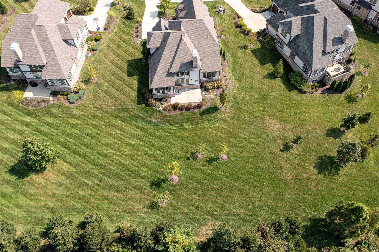 721 Woods Of Ladue Lane
