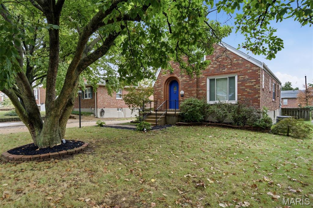 10017 N Marlene Drive