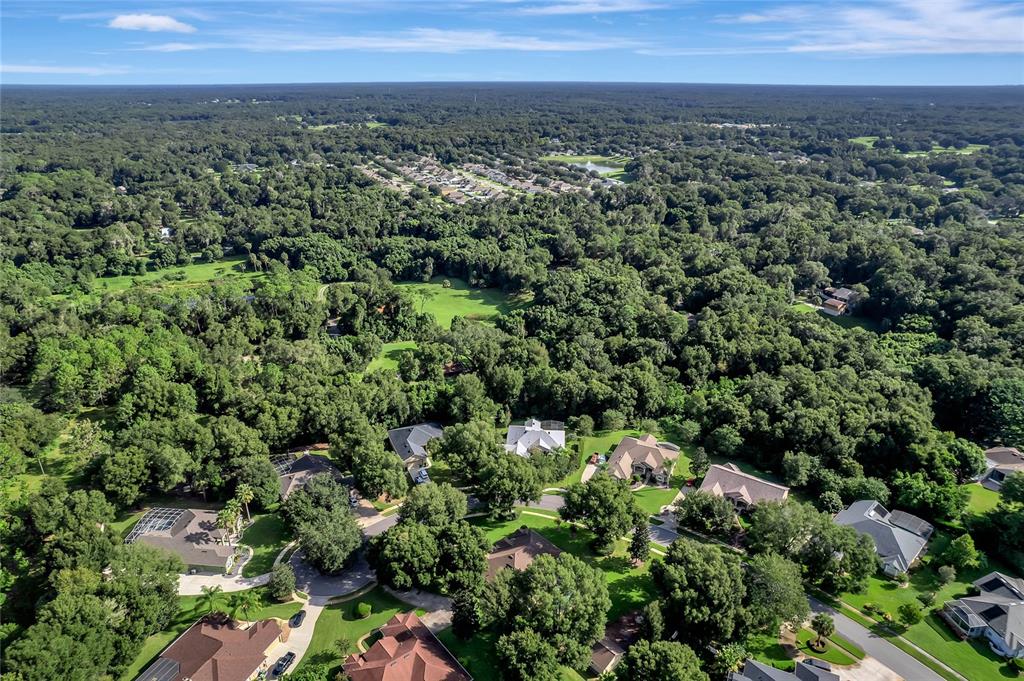 1487 W SILVER HAMMOCK