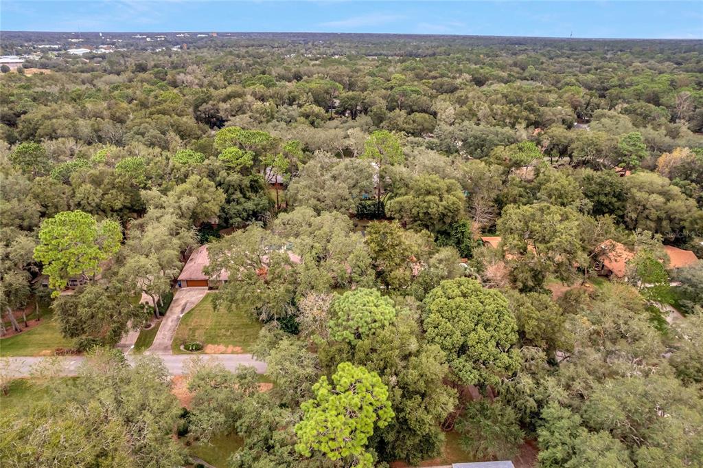 523 PRINCEWOOD DRIVE