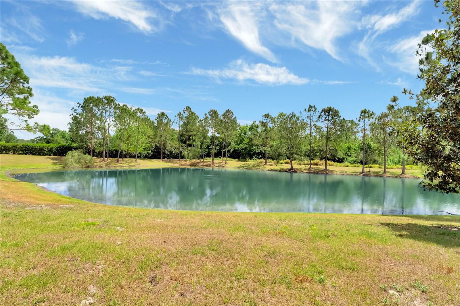 1613 SMOKEY OAK WAY