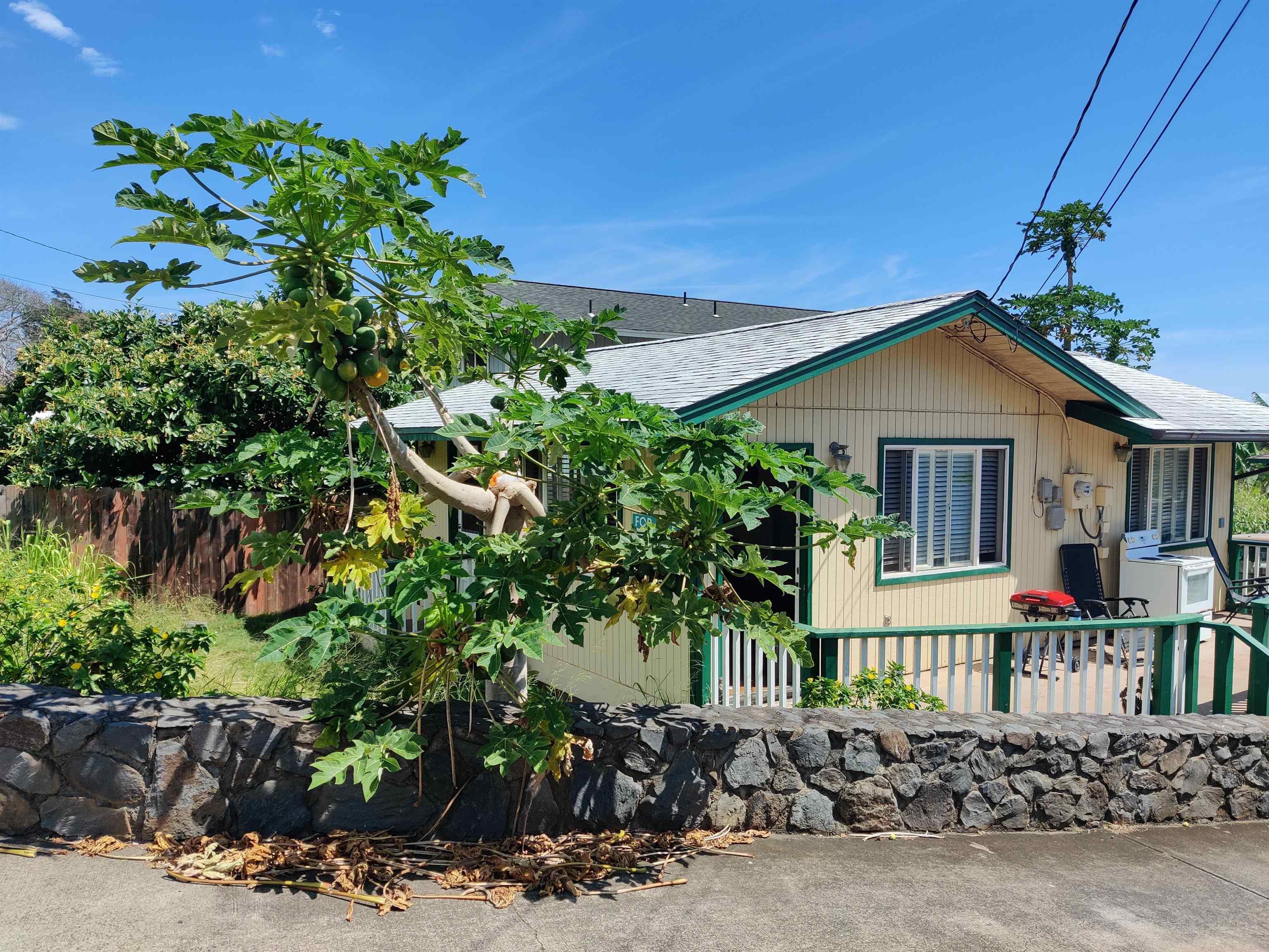 2042 KAHEKILI Hwy Unit: B