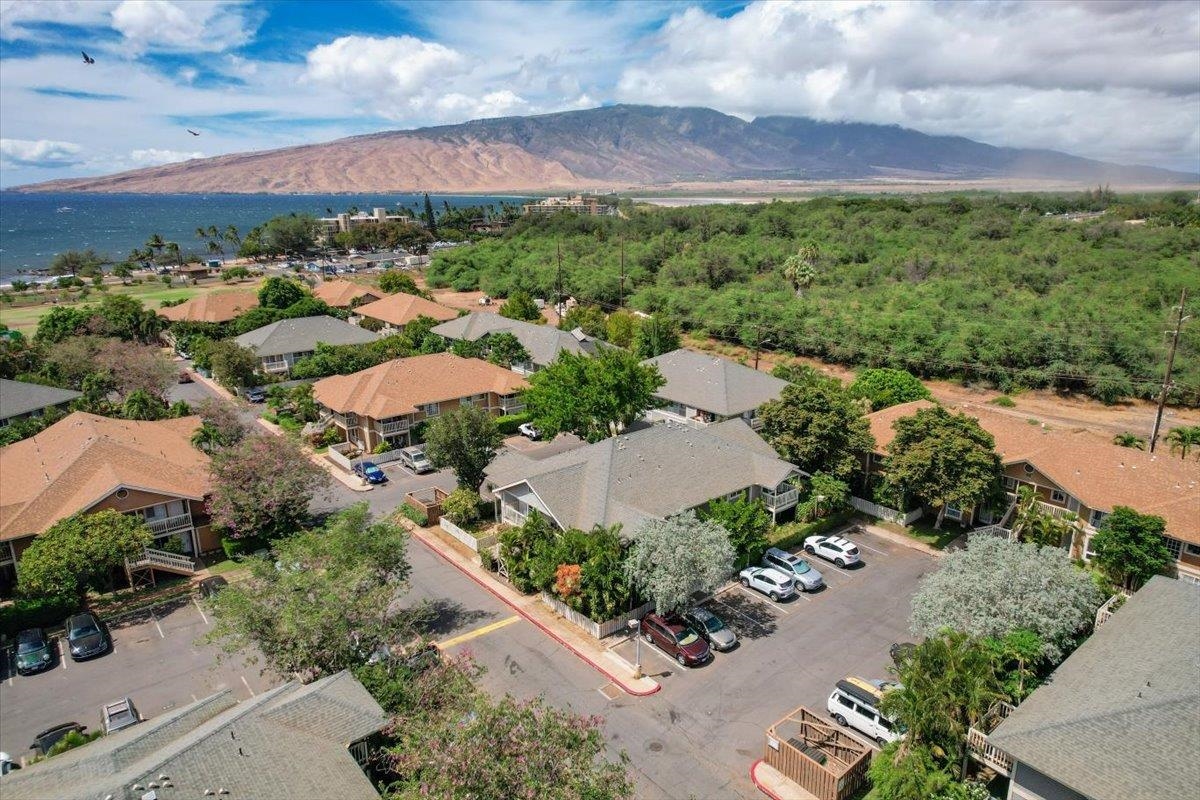 140 UWAPO Rd Unit: 51-203