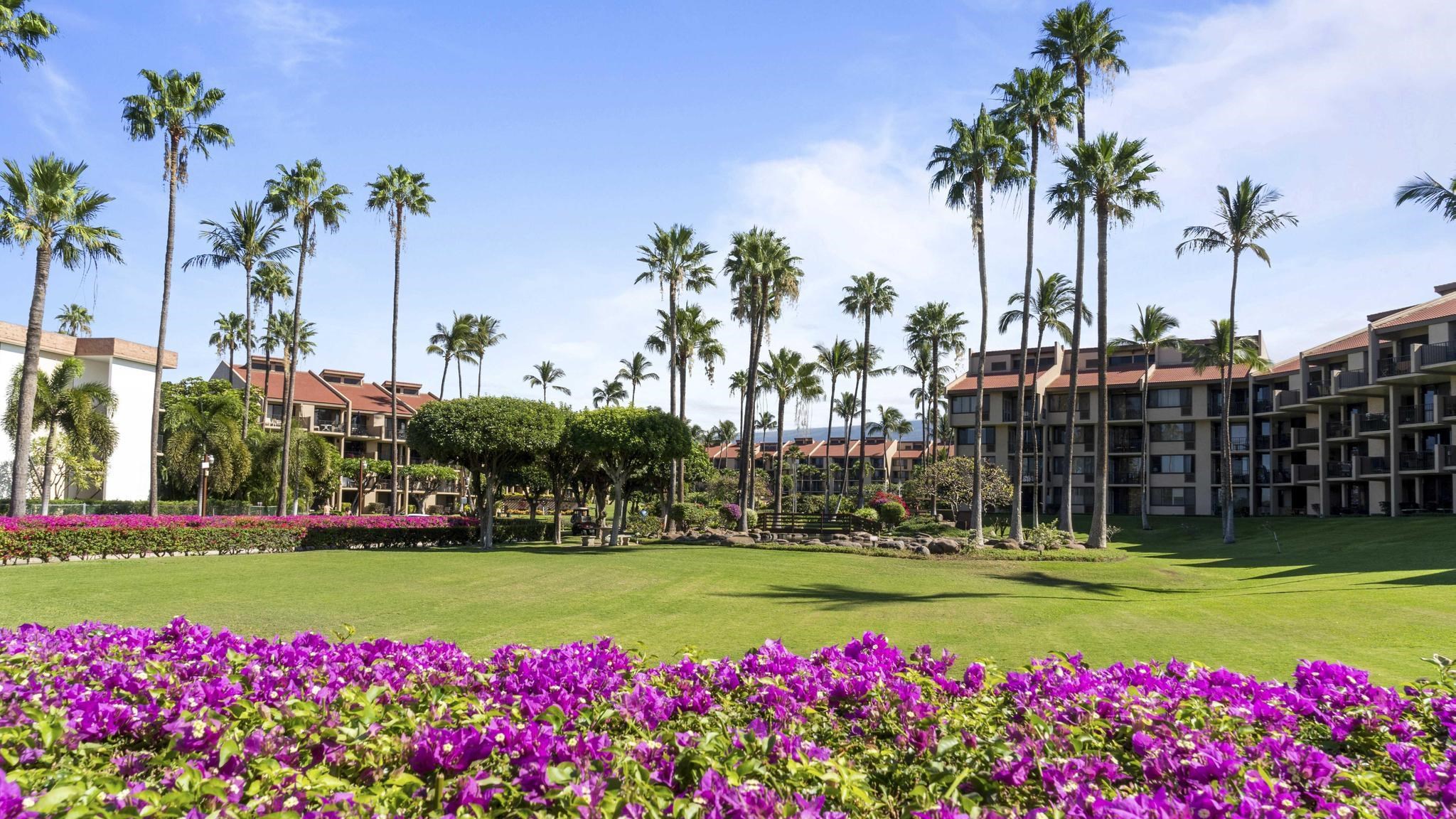 2695 S Kihei Rd Unit: 4407