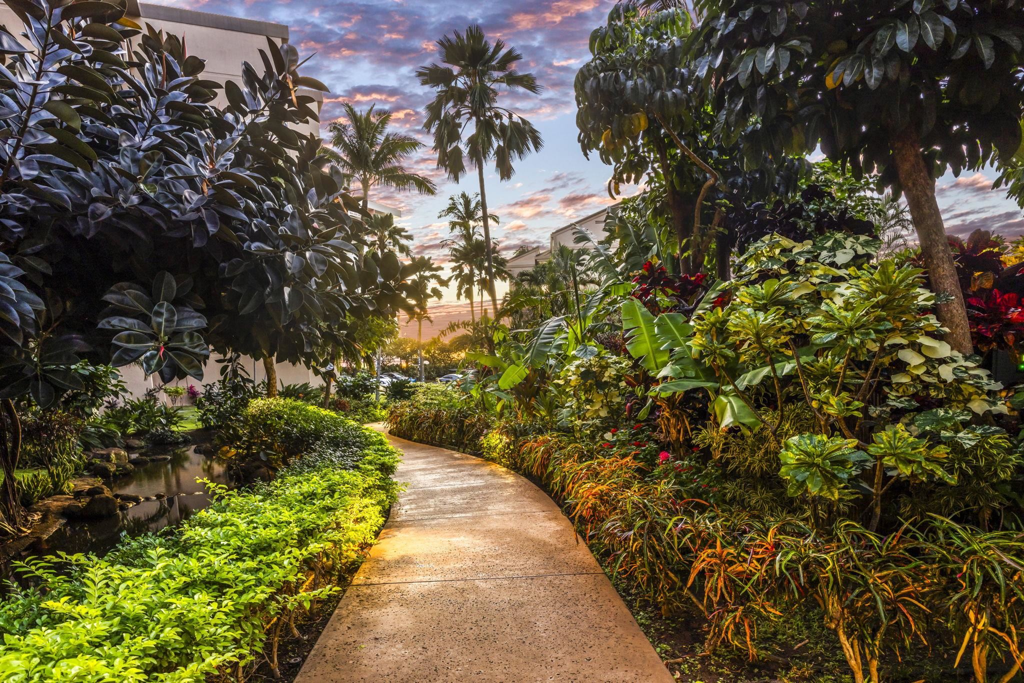 3445 Lower Honoapiilani Rd Unit: 443