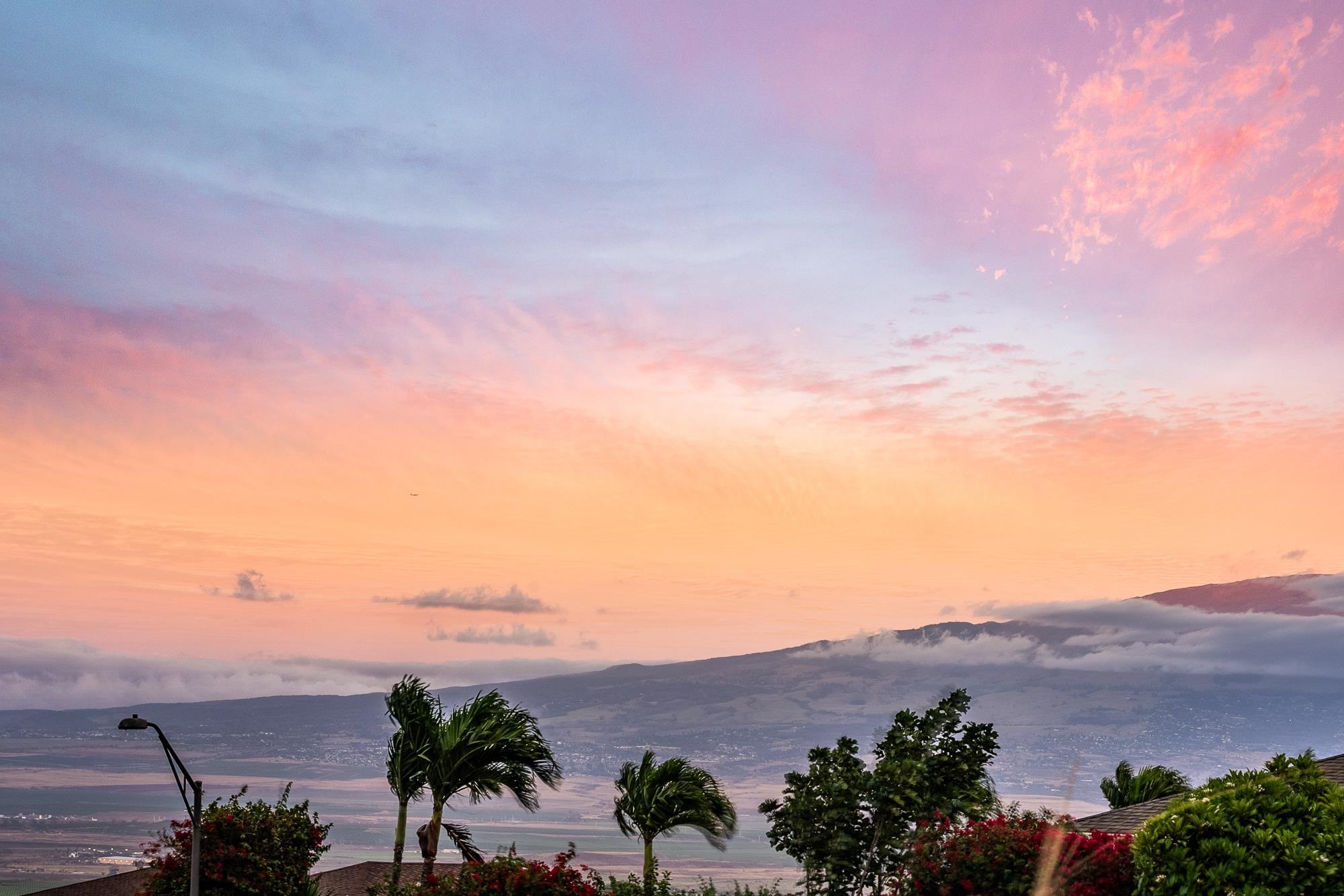 101 Kiha Pl Unit: 41