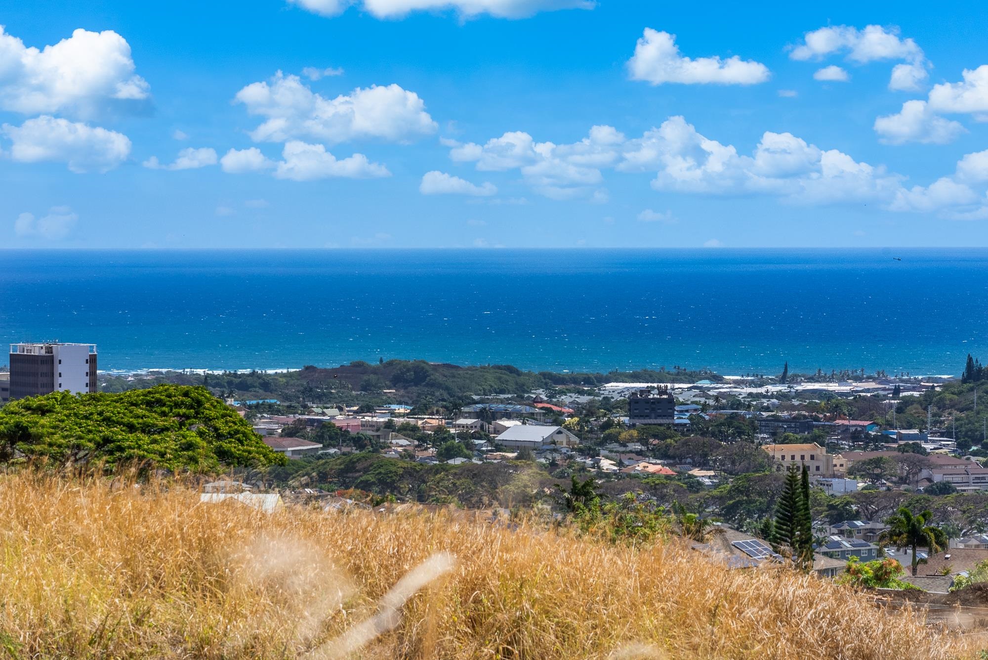 101 Kiha Pl Unit: 41