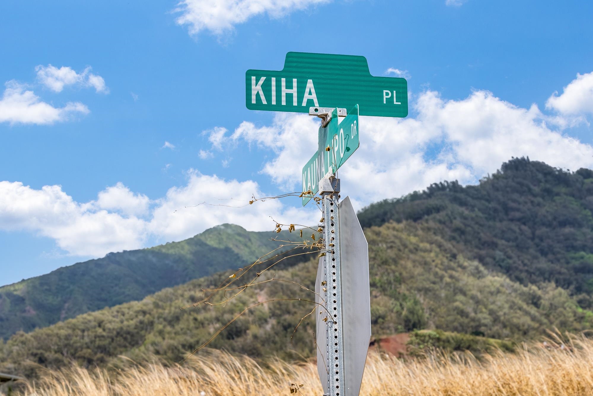 101 Kiha Pl Unit: 41