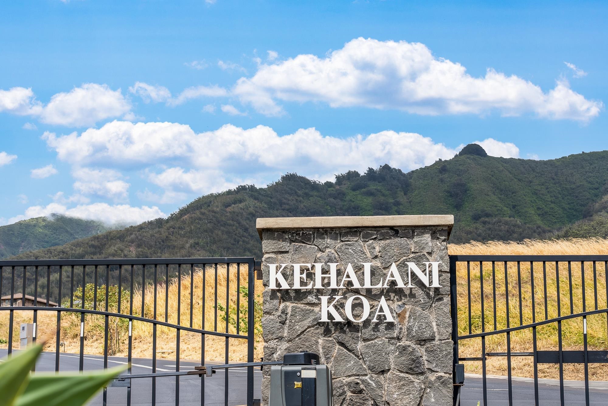 101 Kiha Pl Unit: 41