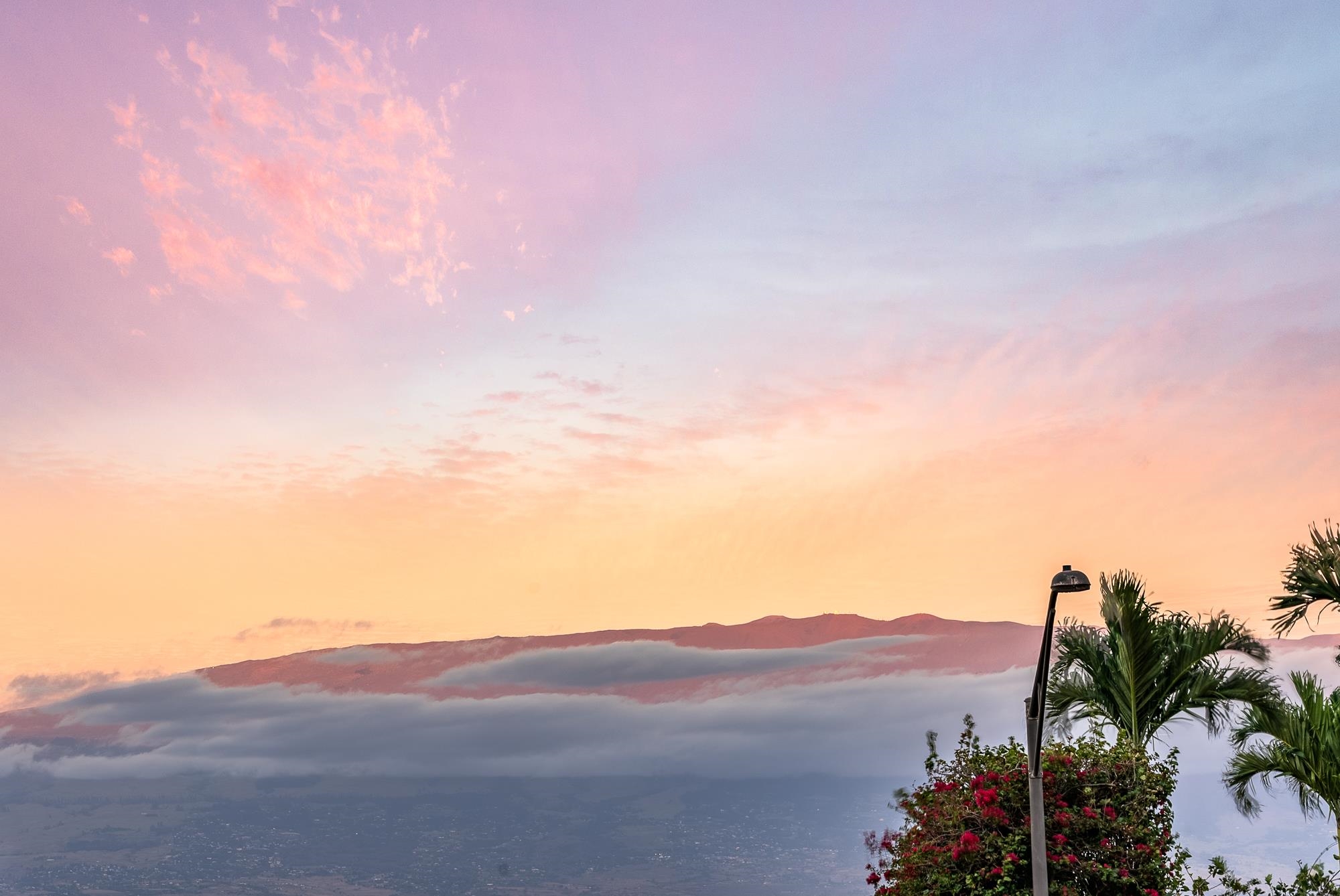 101 Kiha Pl Unit: 41