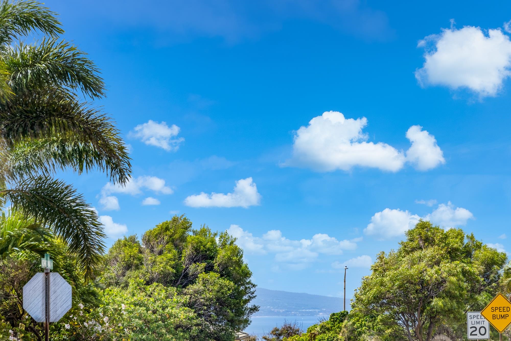 101 Kiha Pl Unit: 41