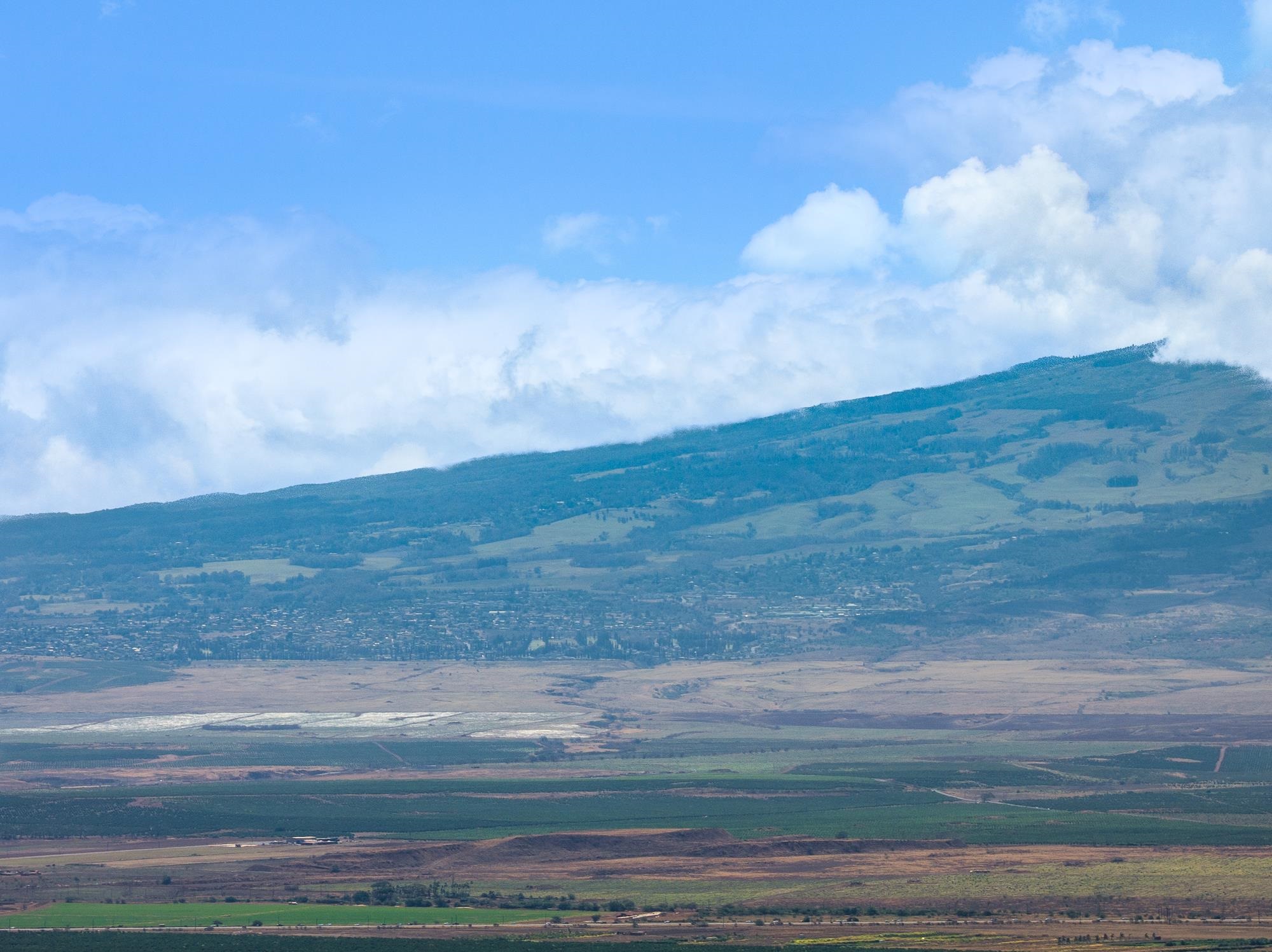 101 Kiha Pl Unit: 41