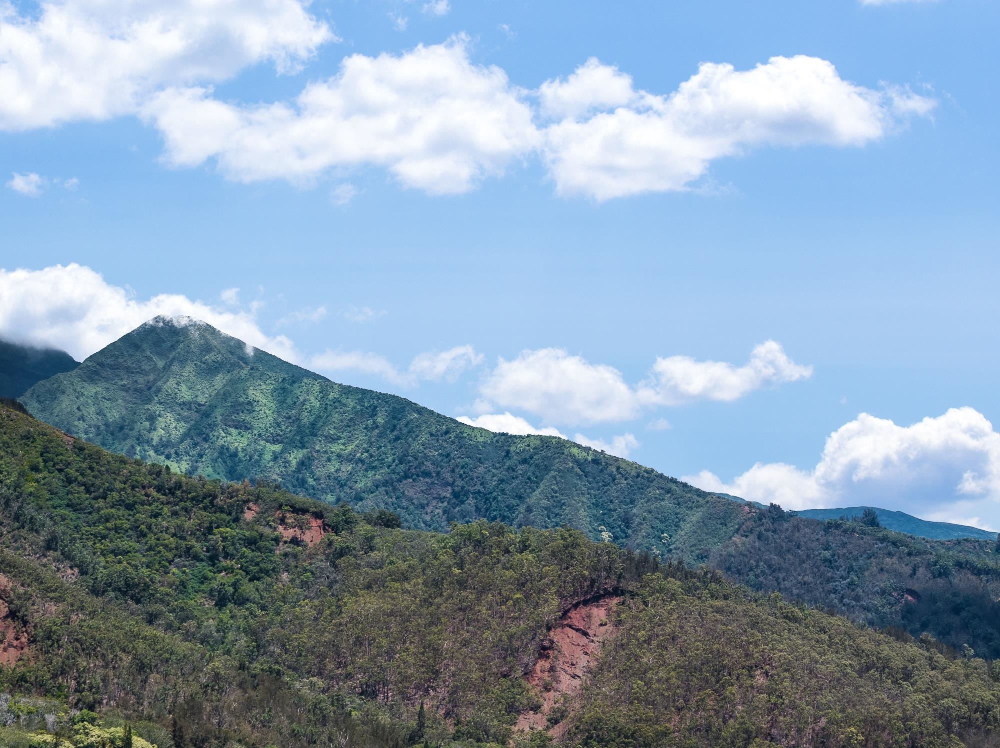 101 Kiha Pl Unit: 41