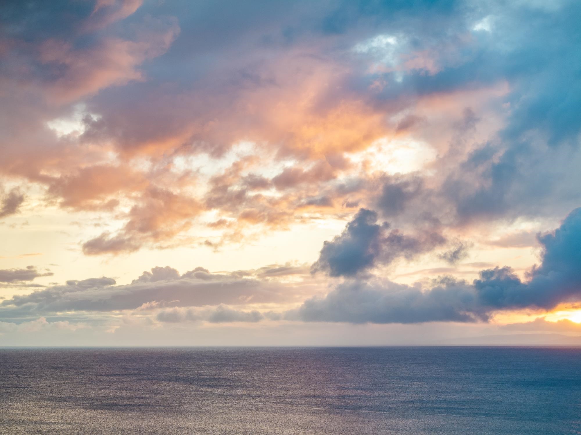 35 Katie Ln Unit: 733