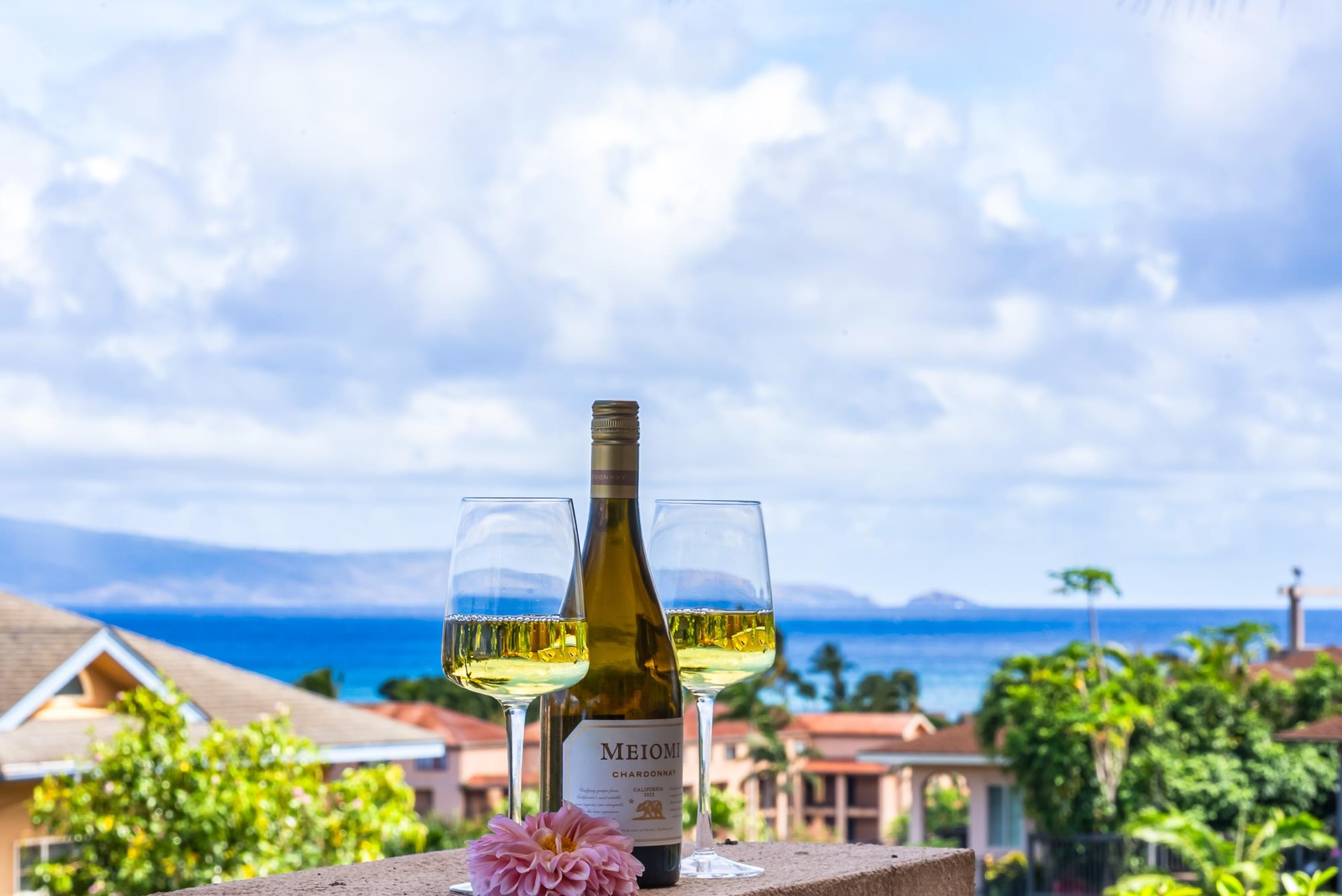 35 Katie Ln Unit: 733