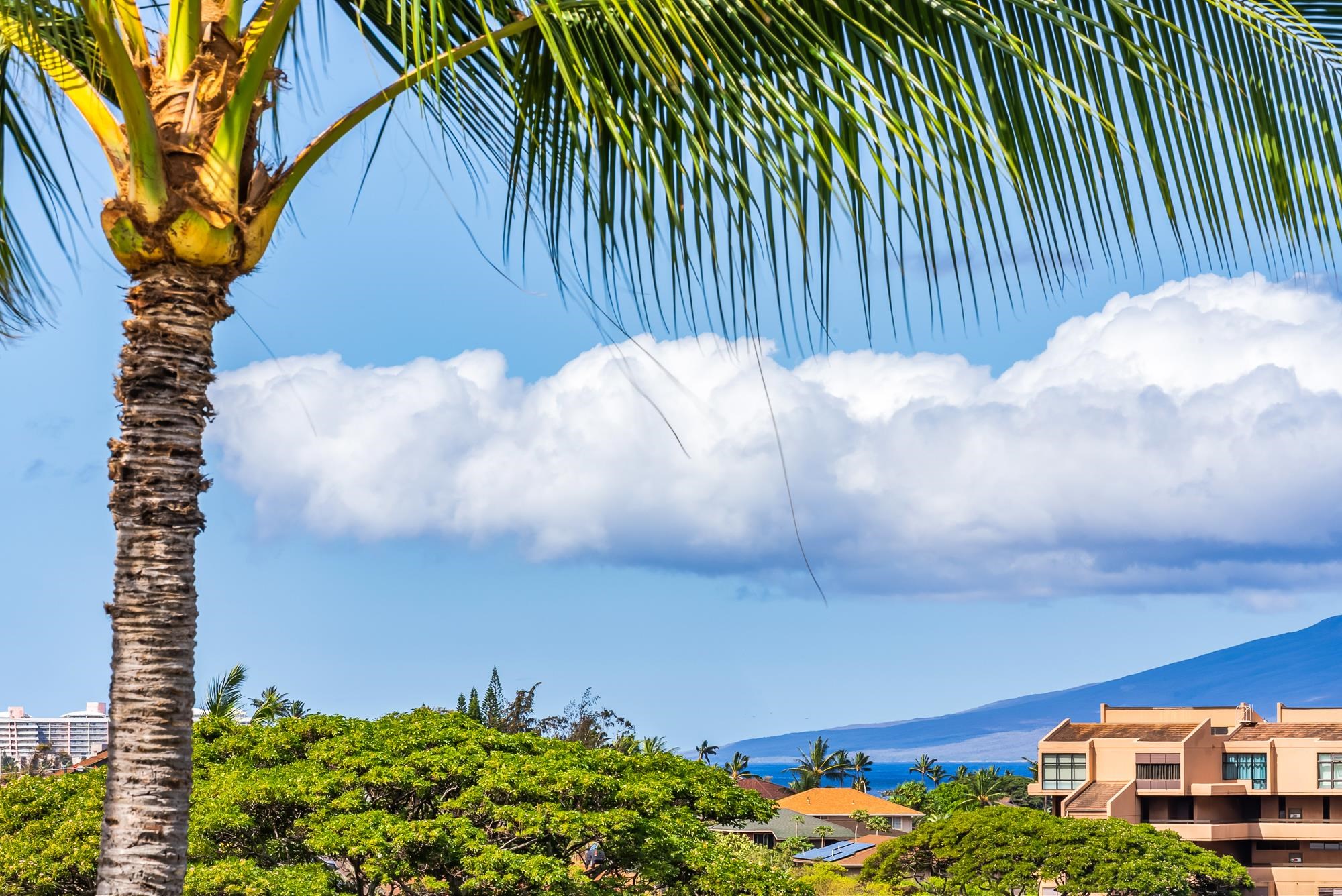 35 Katie Ln Unit: 733
