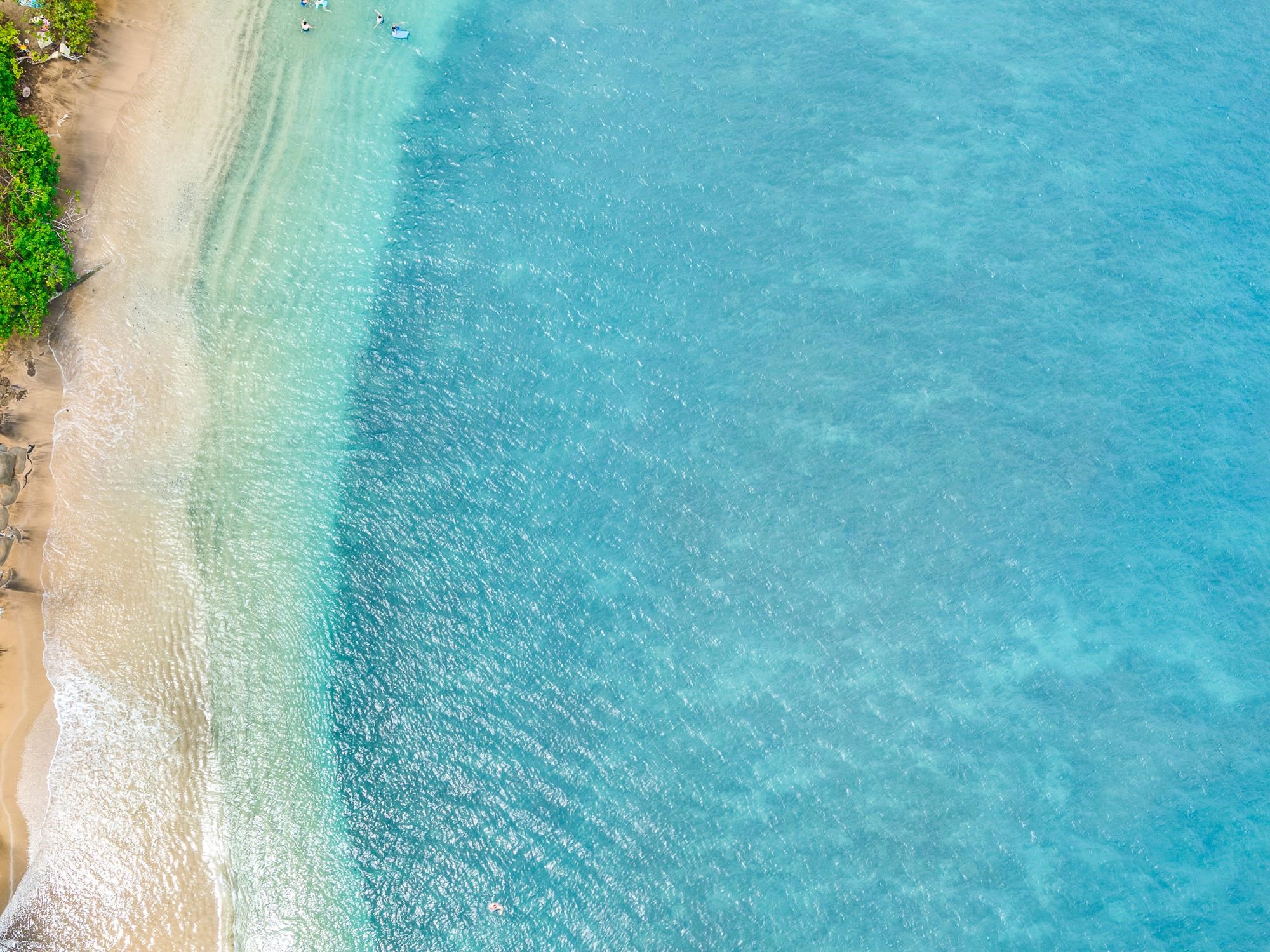 35 Katie Ln Unit: 733