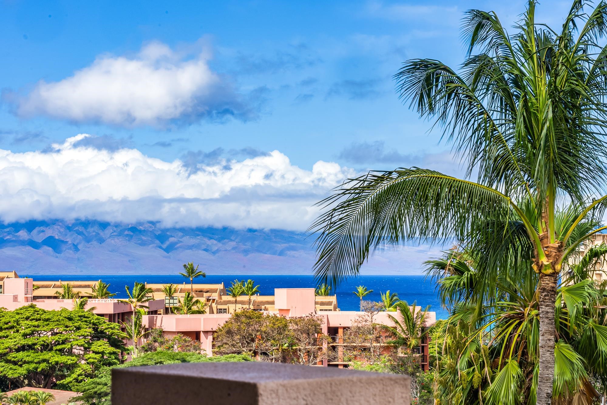 35 Katie Ln Unit: 733
