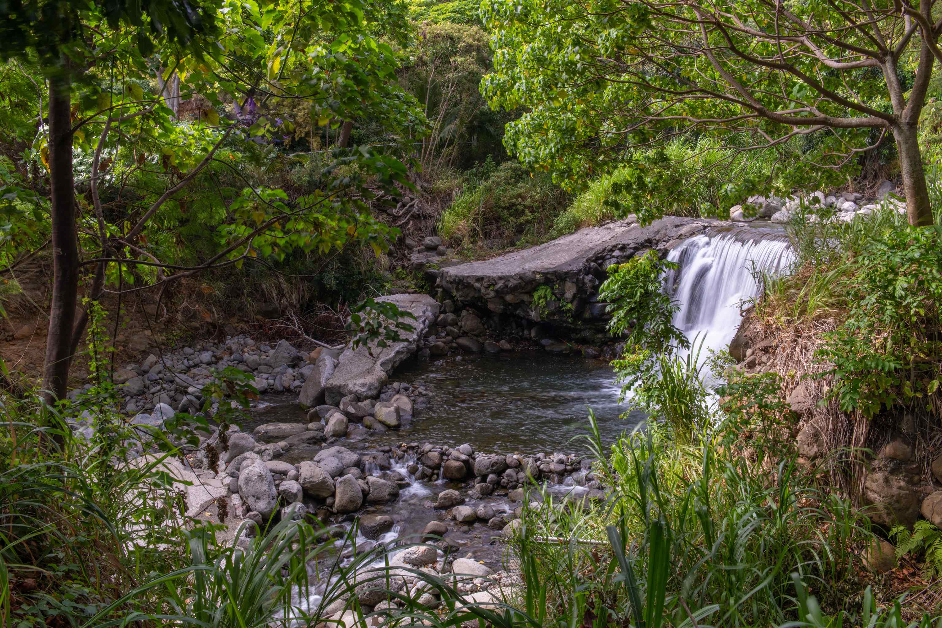 2541 Mokuhau Rd Unit: B