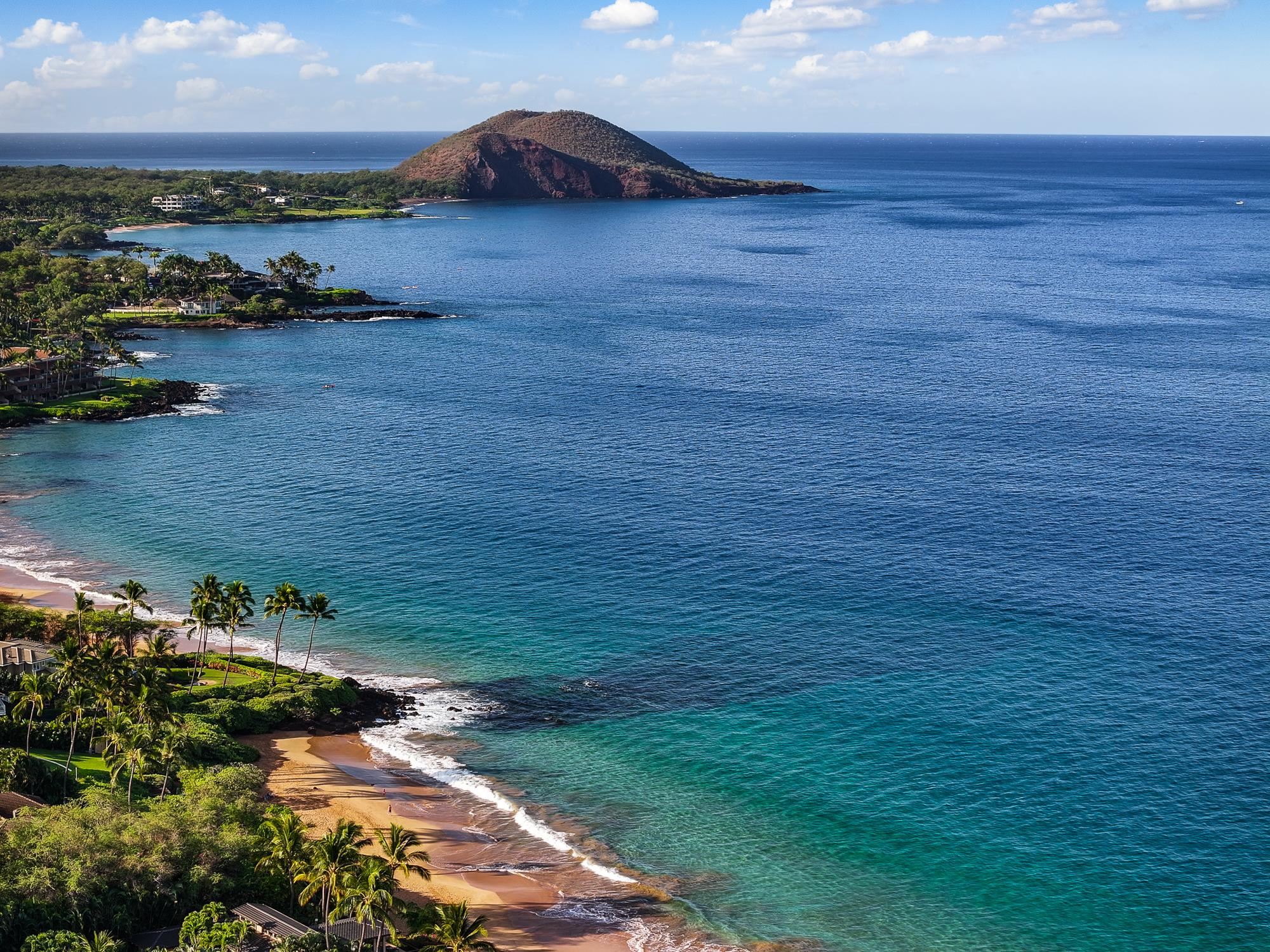 3950 Kalai Waa St Unit: V-202