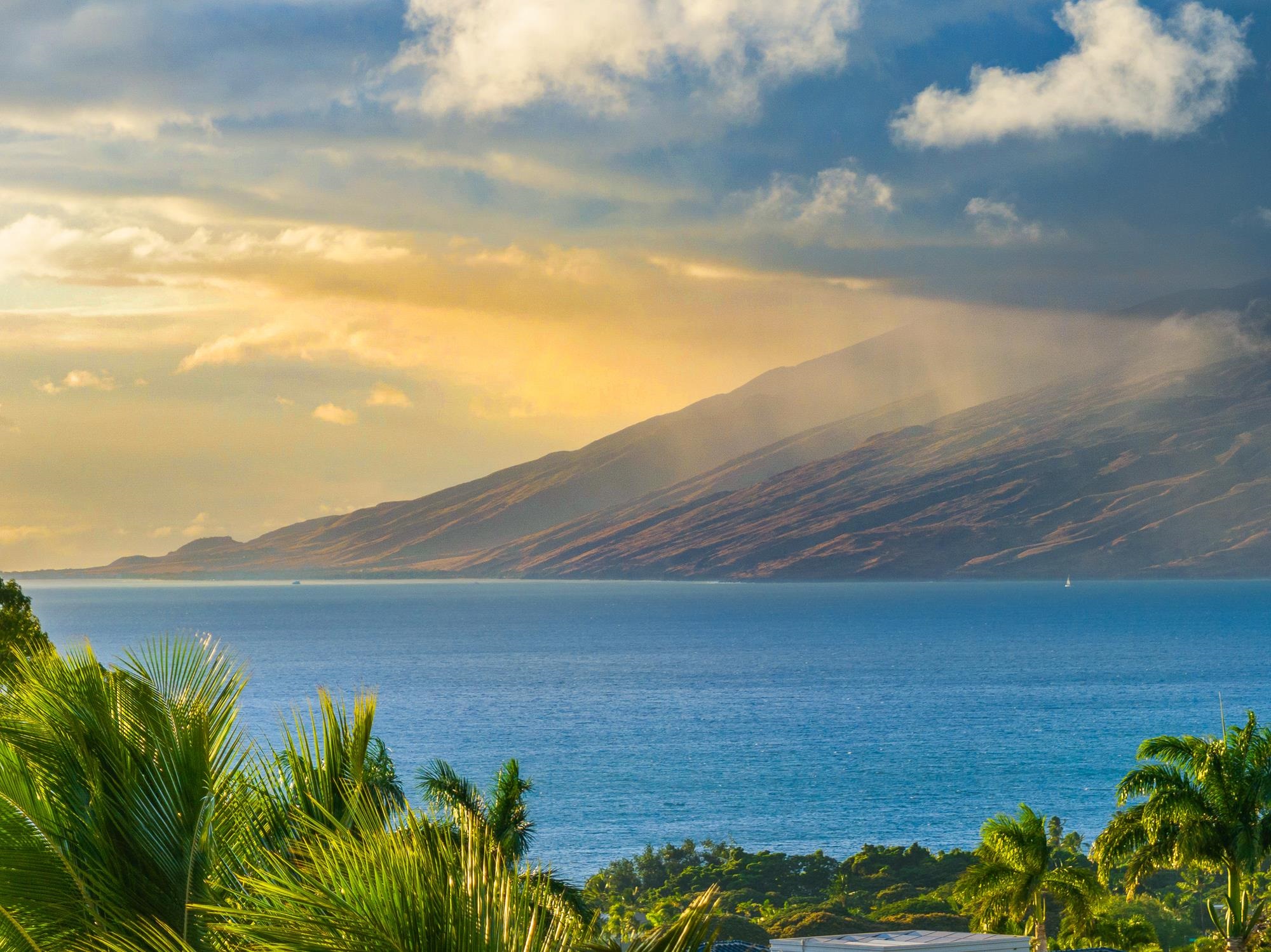 3950 Kalai Waa St Unit: V-202