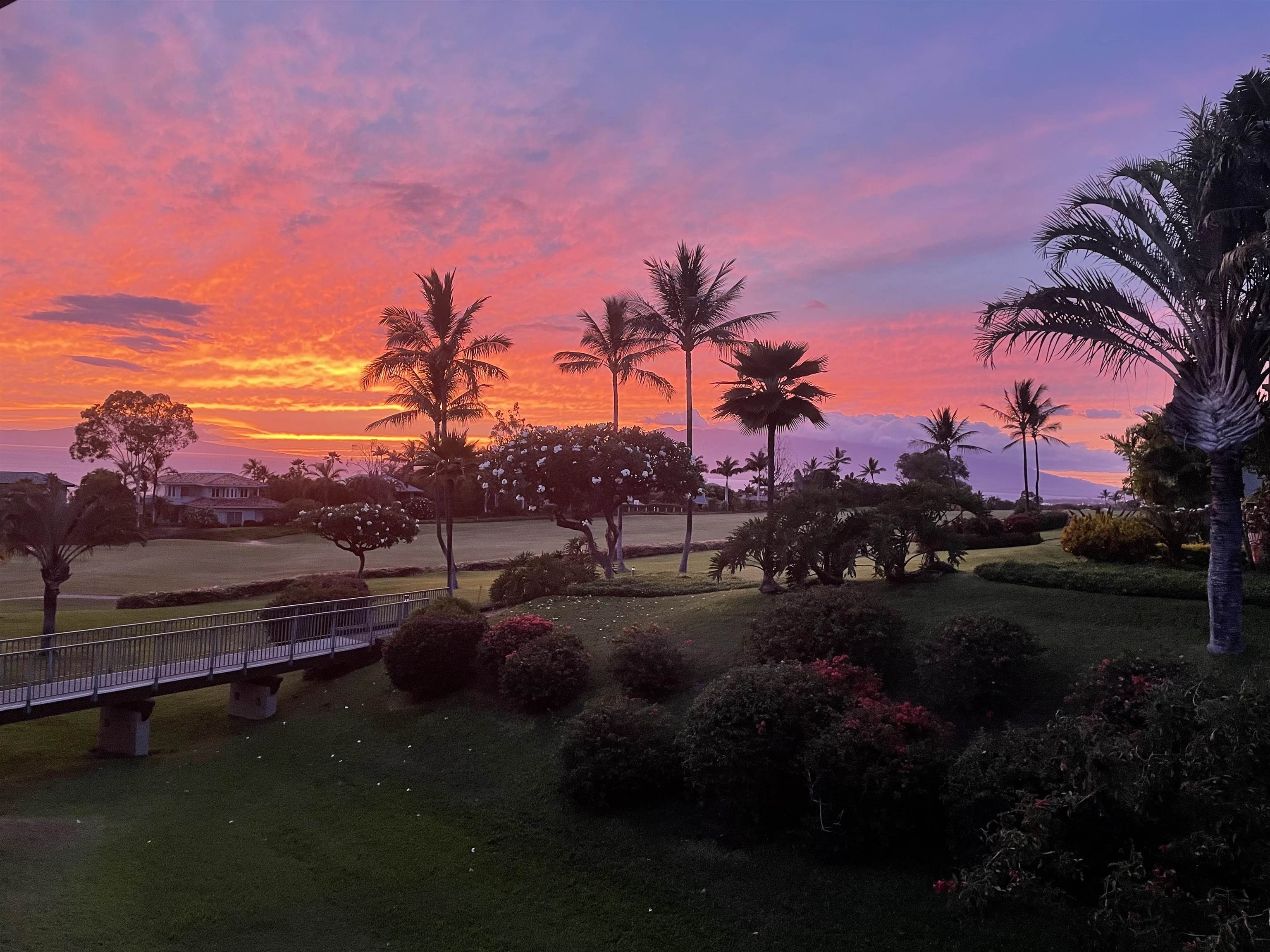 3950 Kalai Waa St Unit: V-202