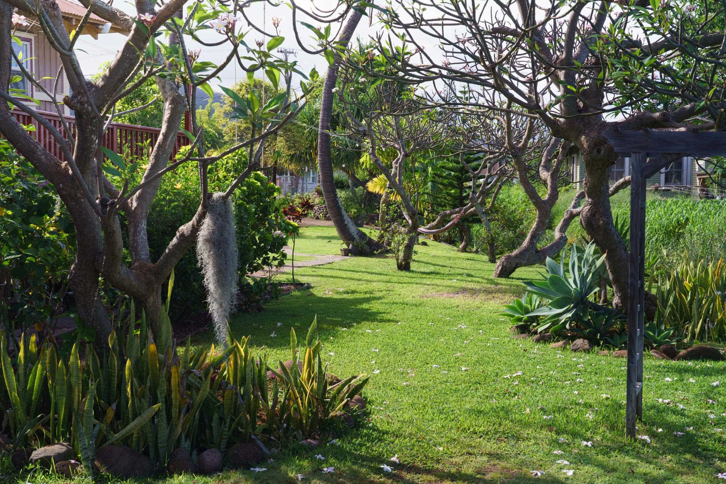 74 Wailani St
