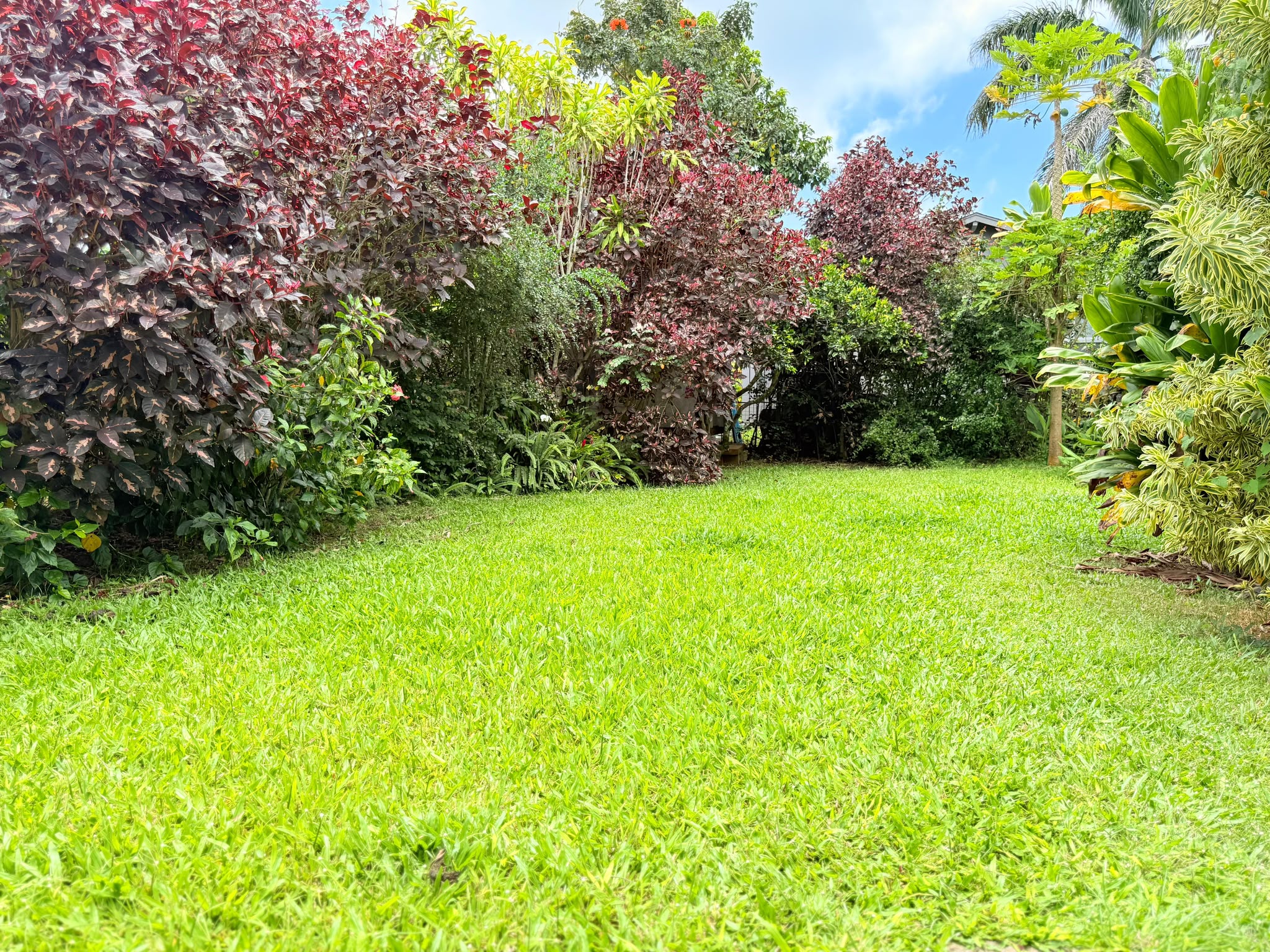 2444 LILIUOKALANI ST