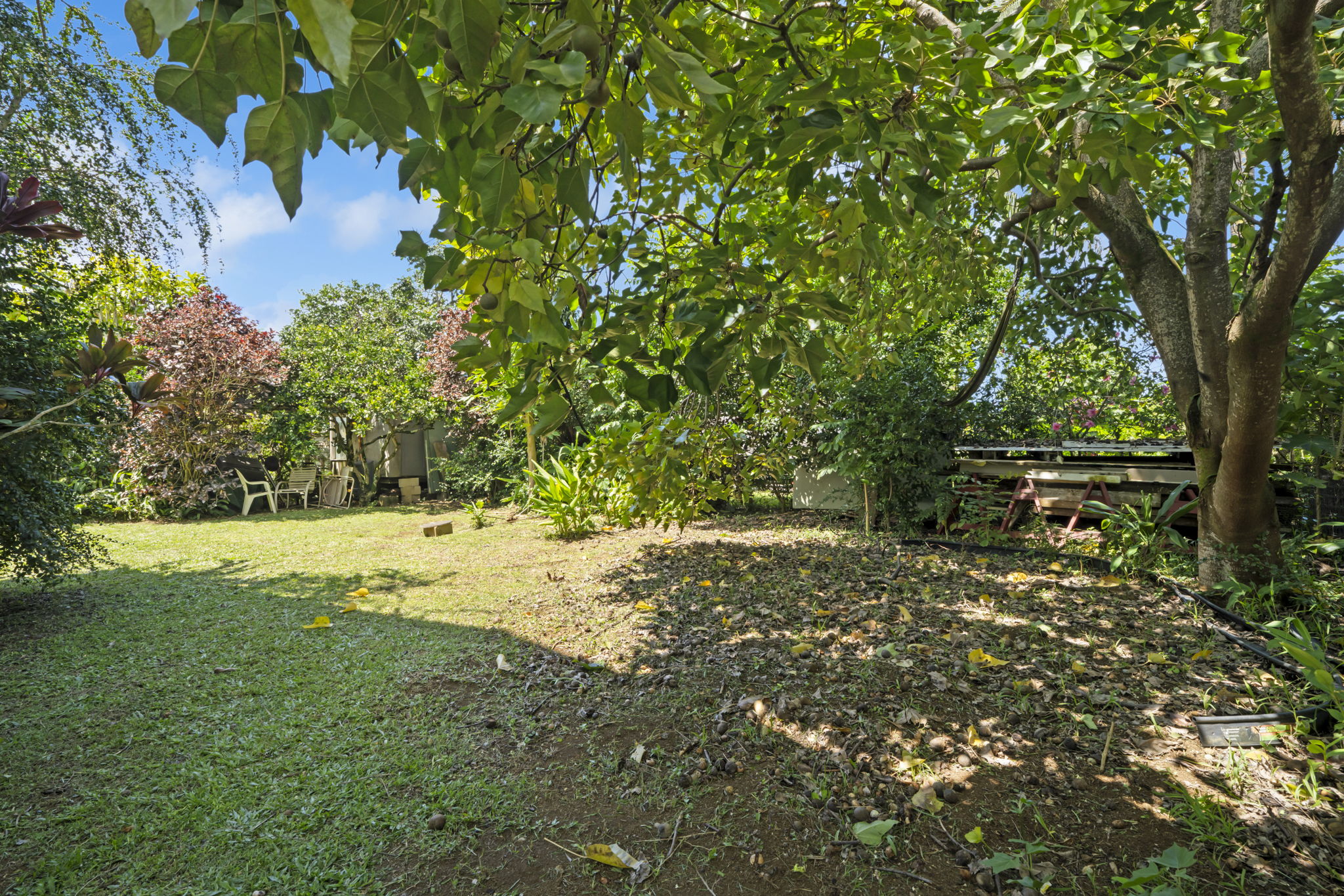 2444 LILIUOKALANI ST