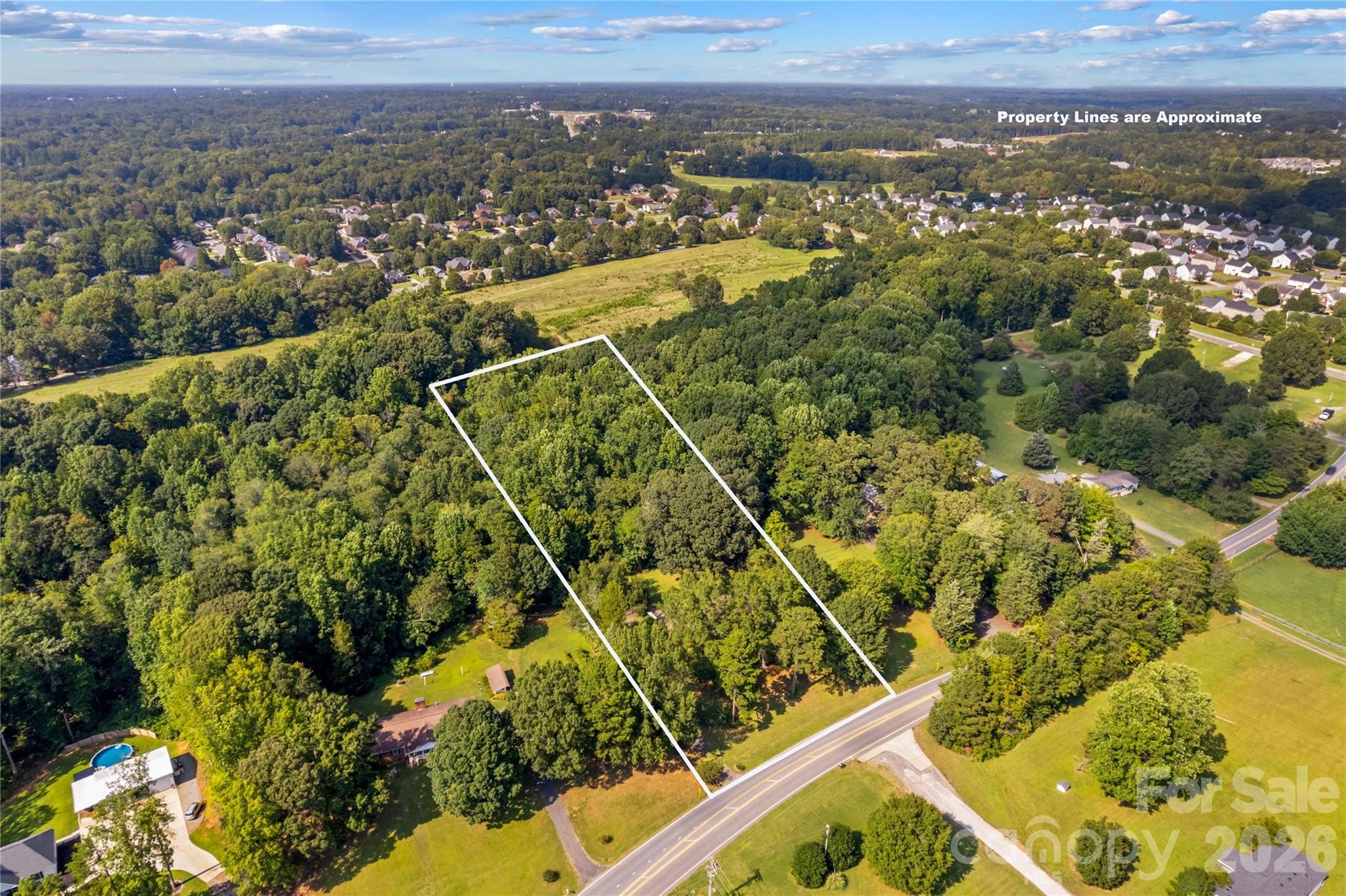 Aerial view of a wooded parcel outlined in white, with frontage along a paved road.