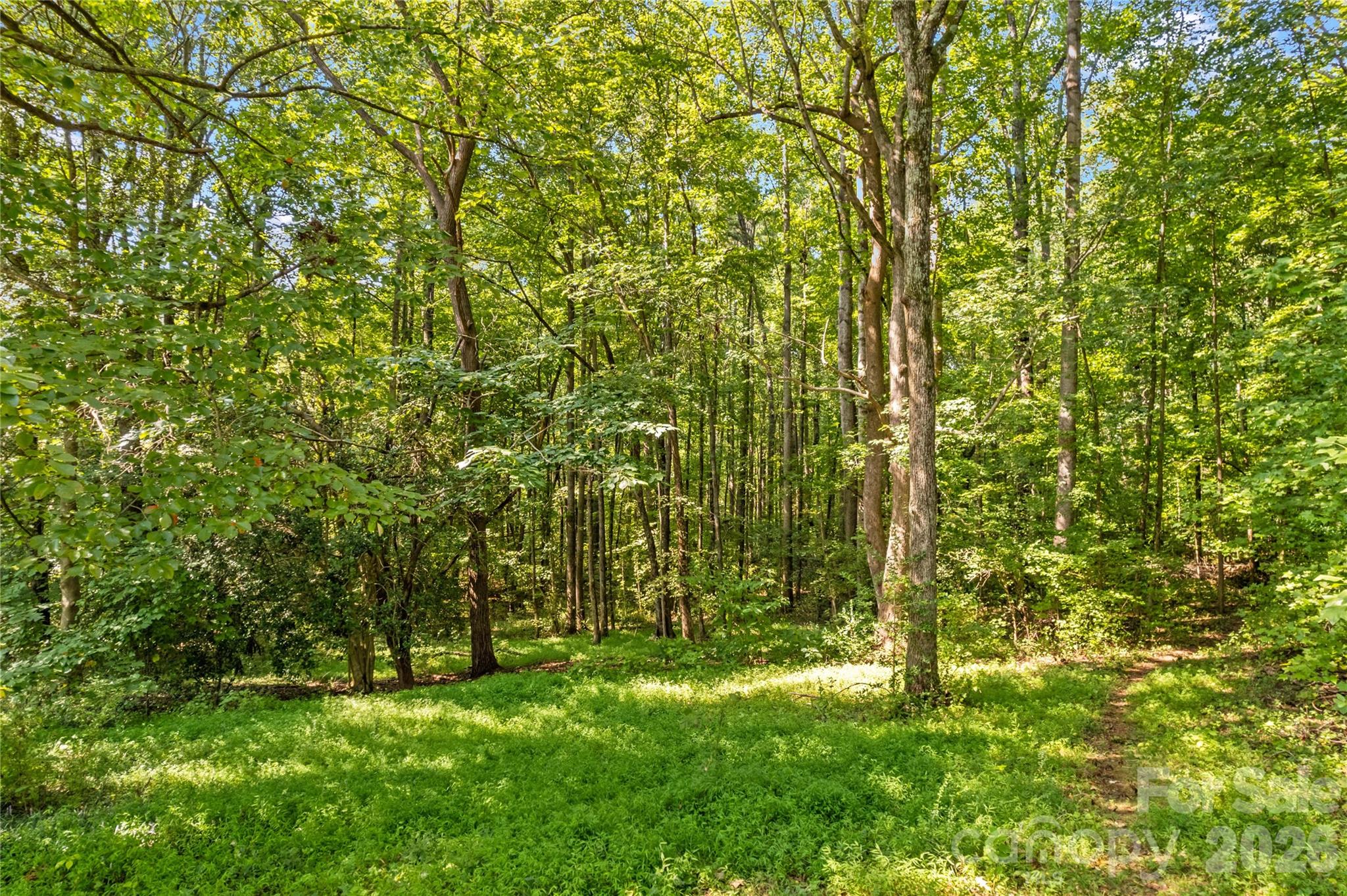 Wooded property with a sunny grassy clearing and a narrow path through mature trees.