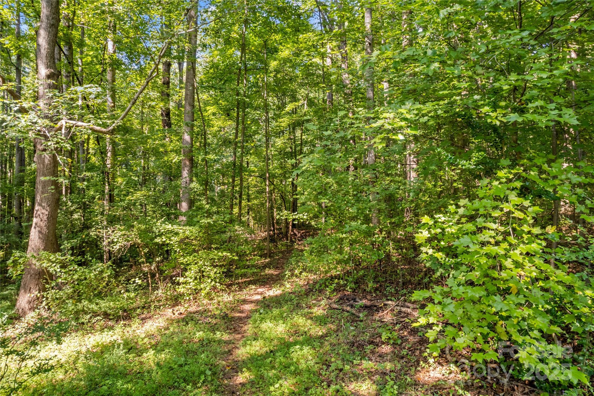 265 Rocky River Road