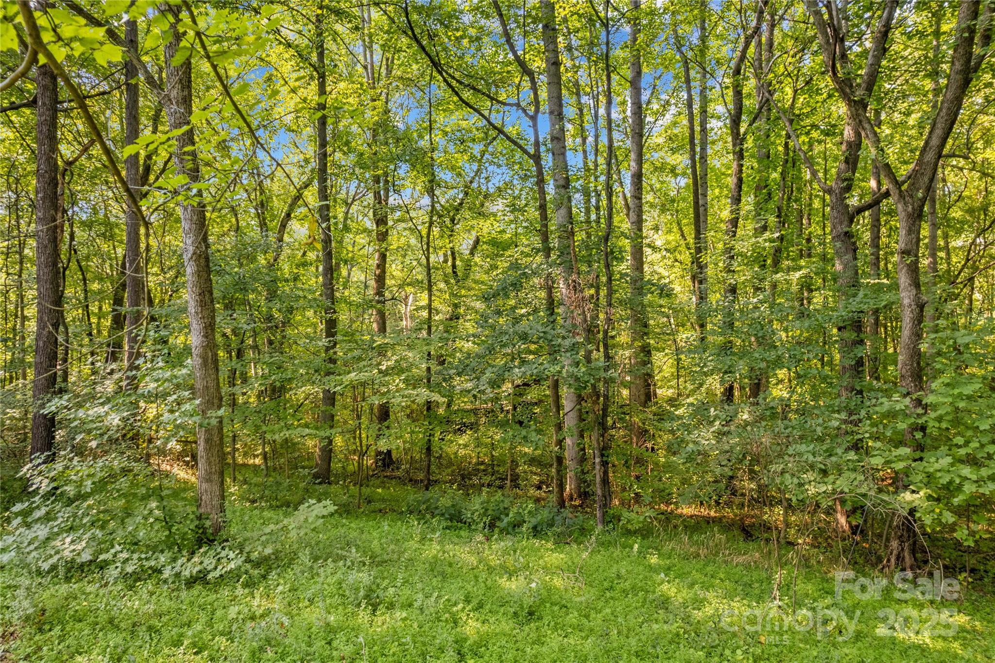 265 Rocky River Road