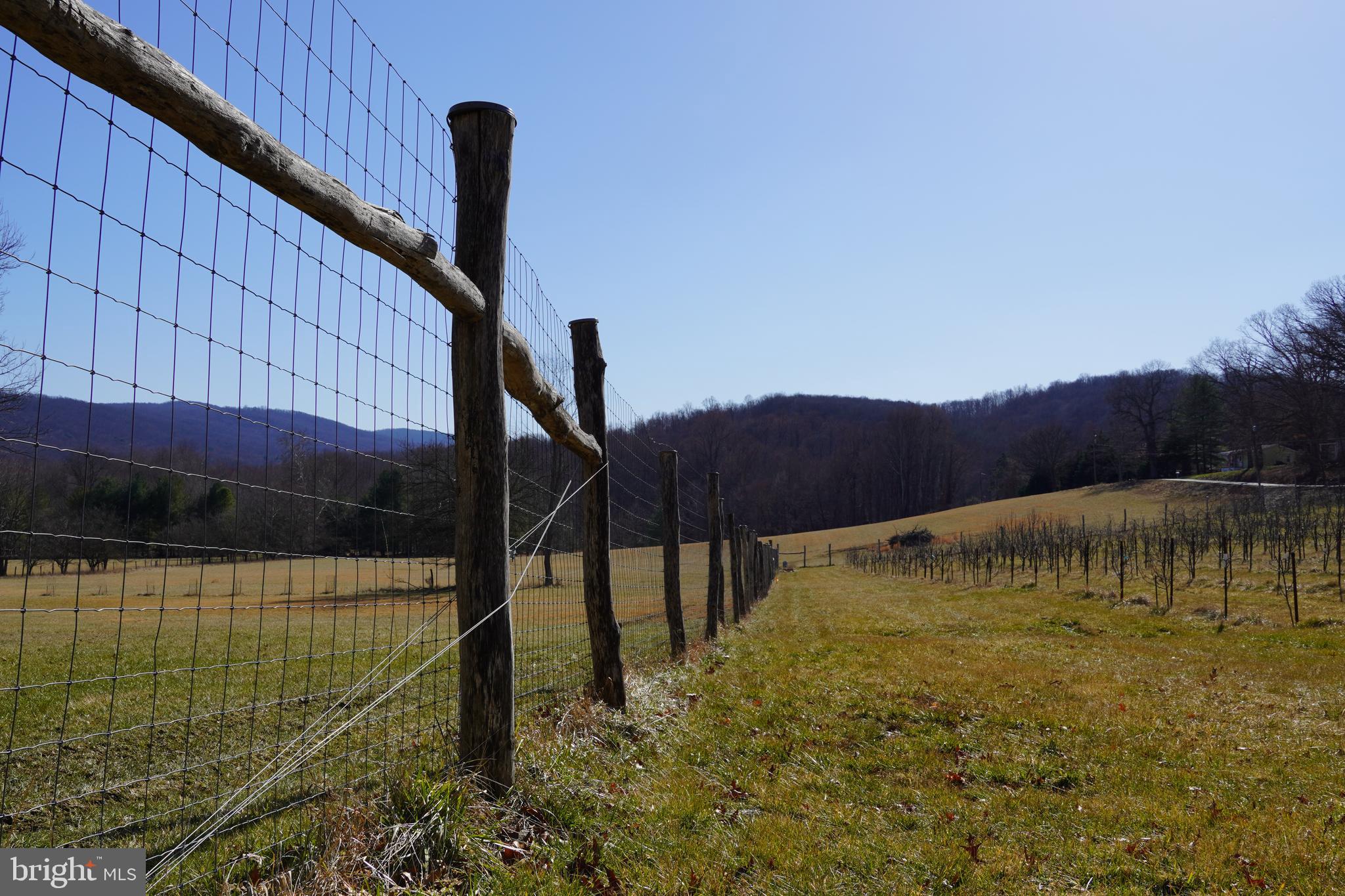 19403 Burnside Bridge Rd- 55 acre farm SOLD