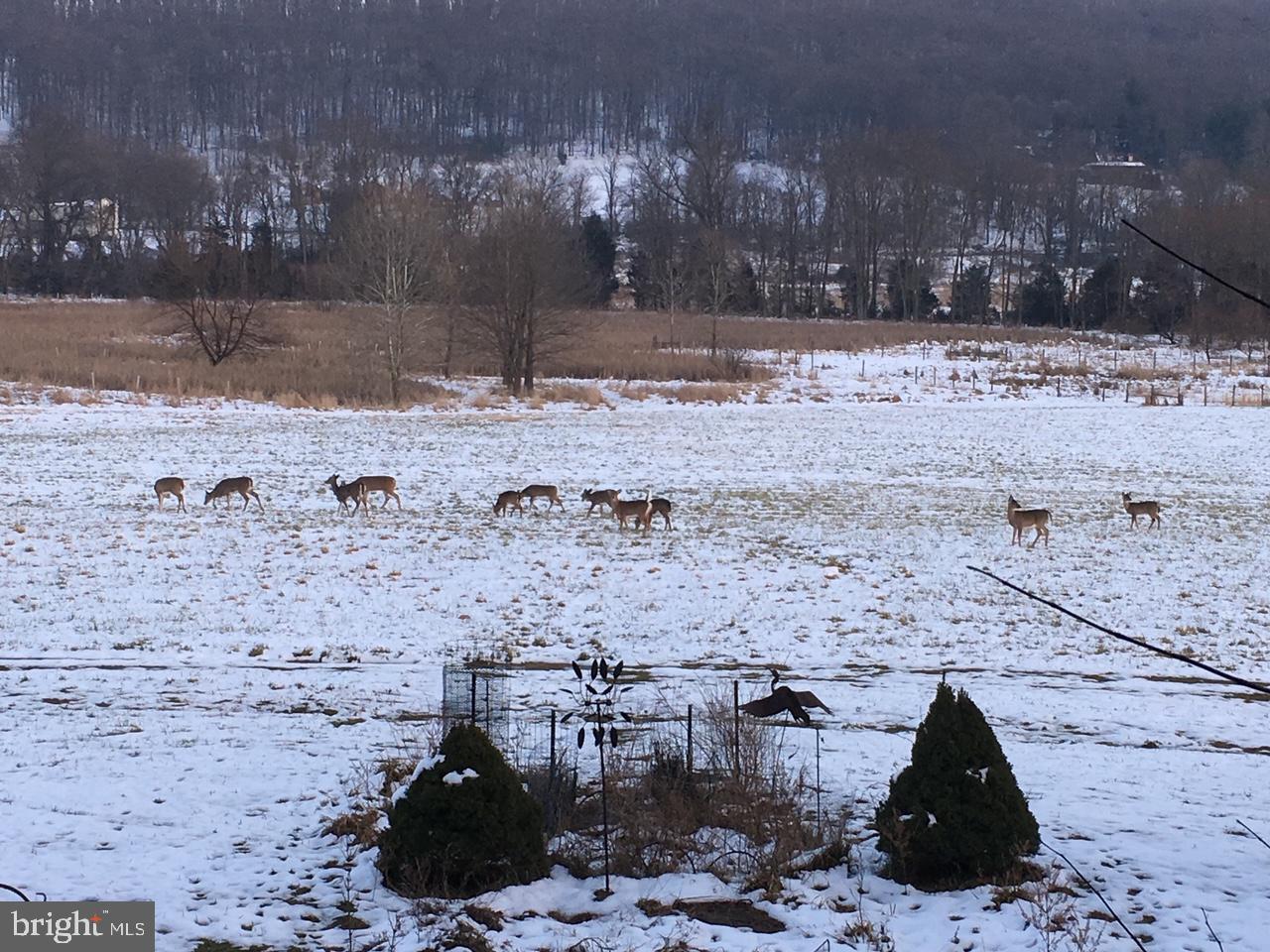 19403 Burnside Bridge Rd- 55 acre farm SOLD