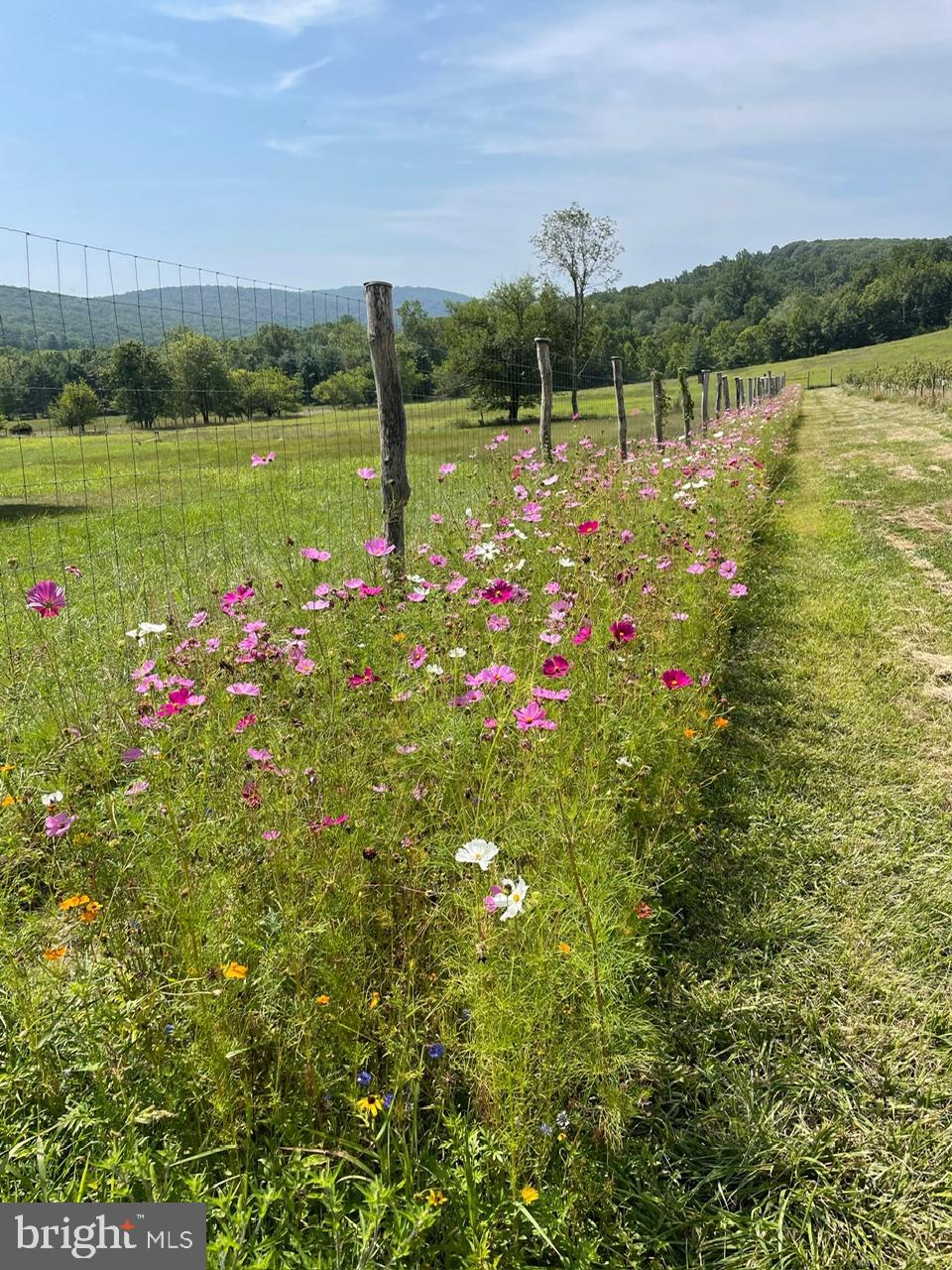 19403 Burnside Bridge Rd- 55 acre farm SOLD