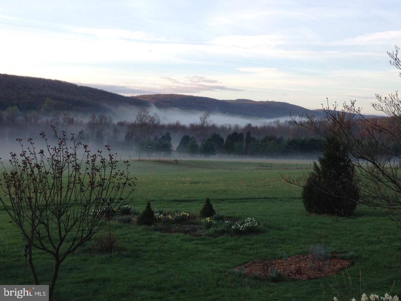19403 Burnside Bridge Rd- 55 acre farm SOLD