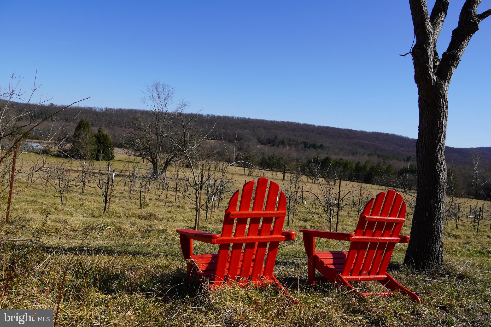 19403 Burnside Bridge Rd- 55 acre farm SOLD