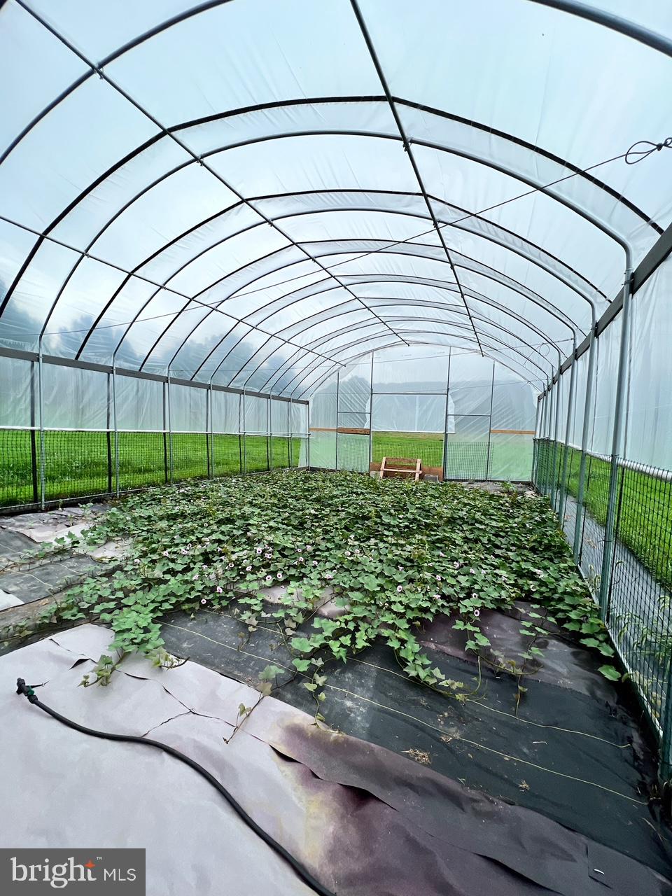 19403 Burnside Bridge Rd- 55 acre farm SOLD
