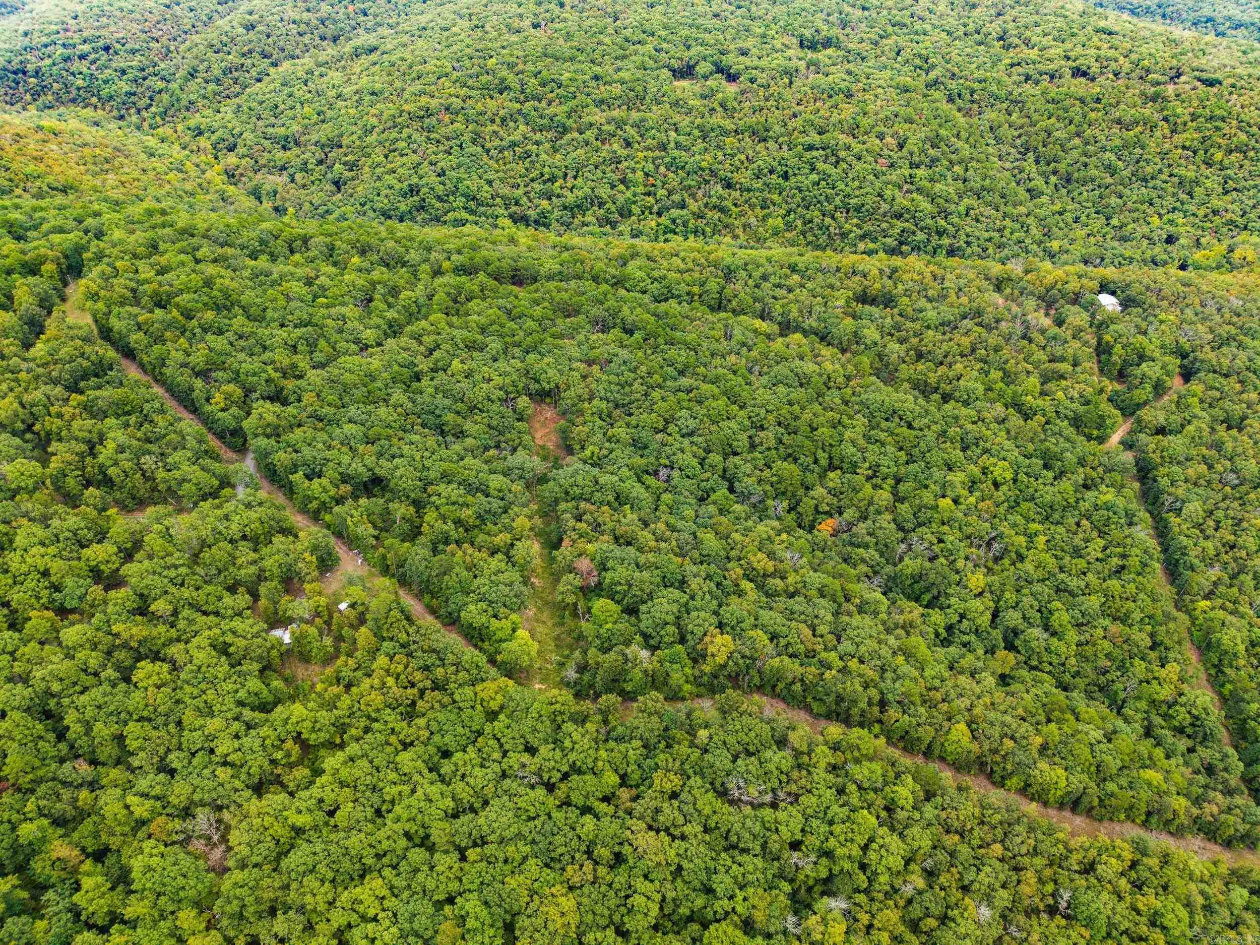 2190 Plant Church Road