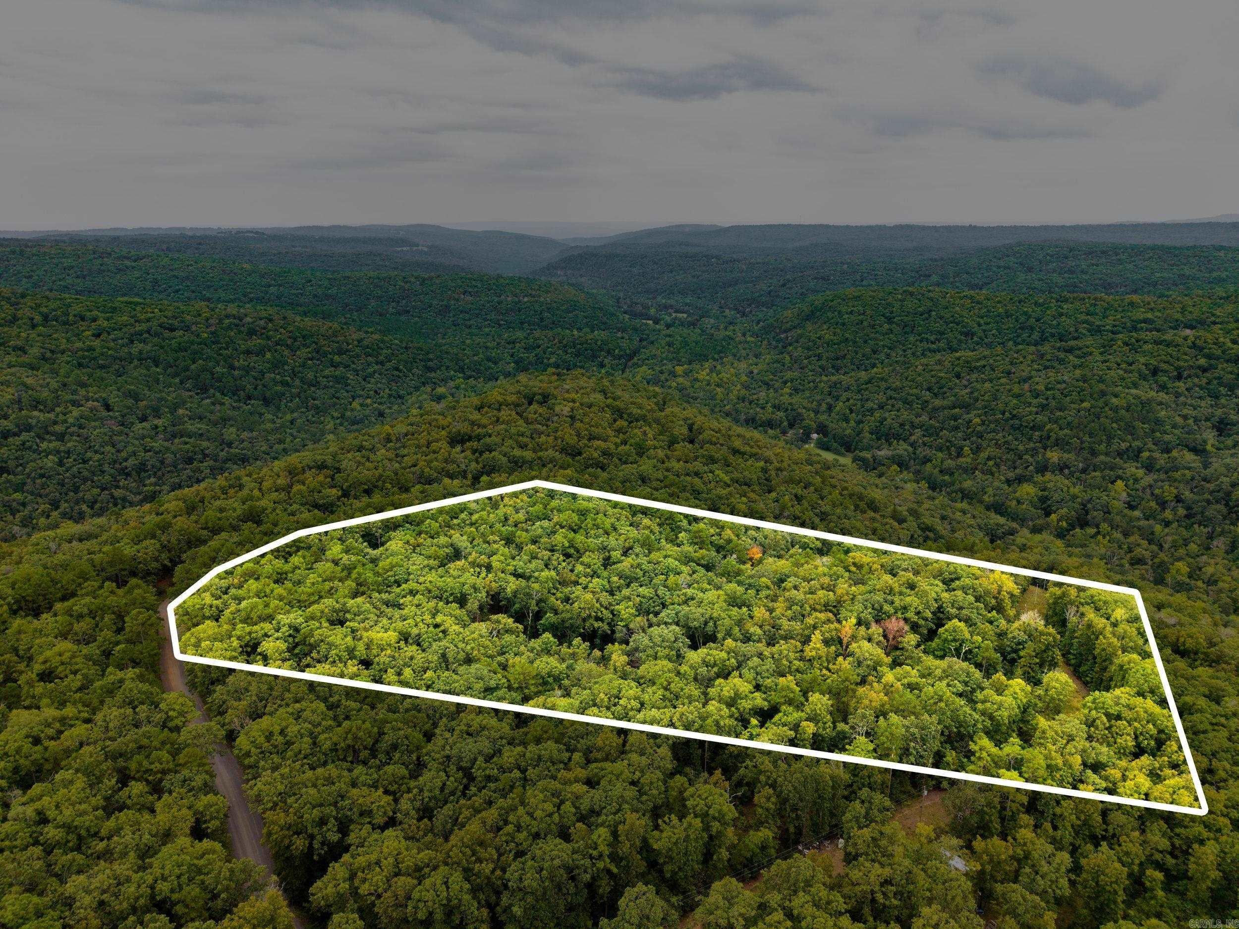 2190 Plant Church Road