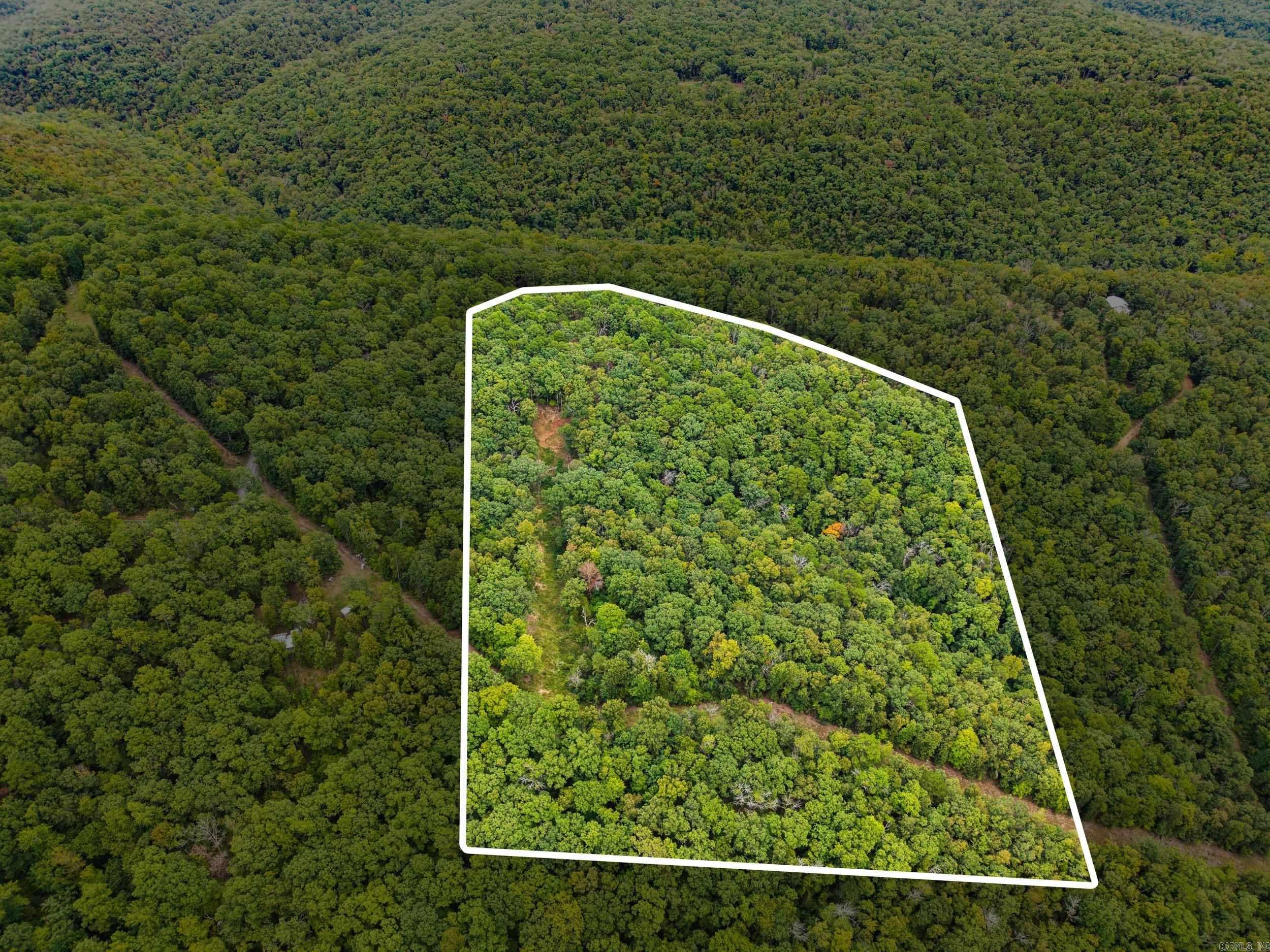 2190 Plant Church Road