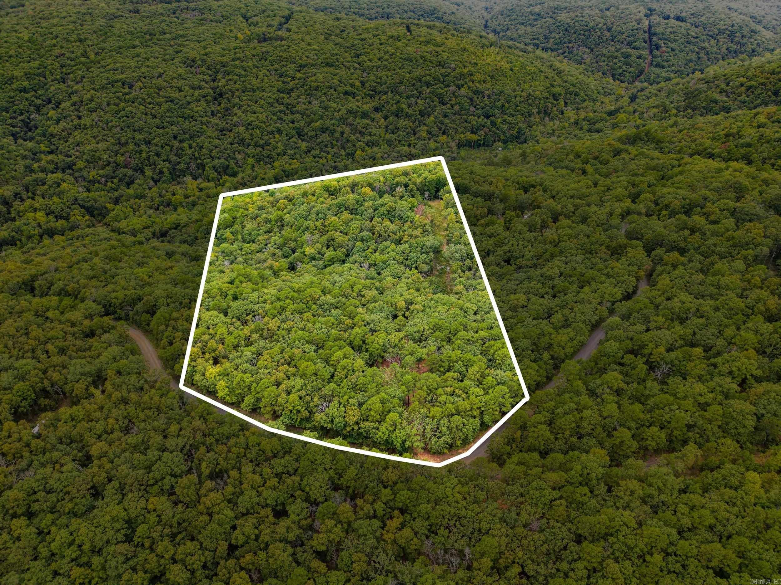 2190 Plant Church Road