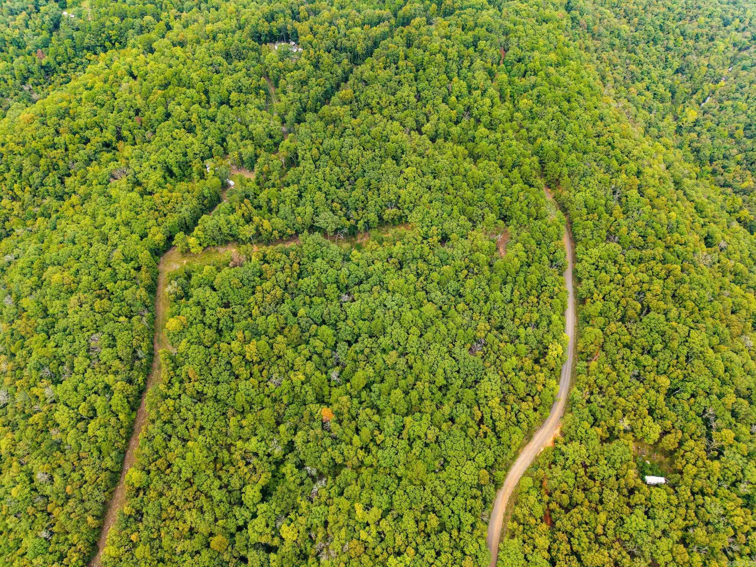 2190 Plant Church Road